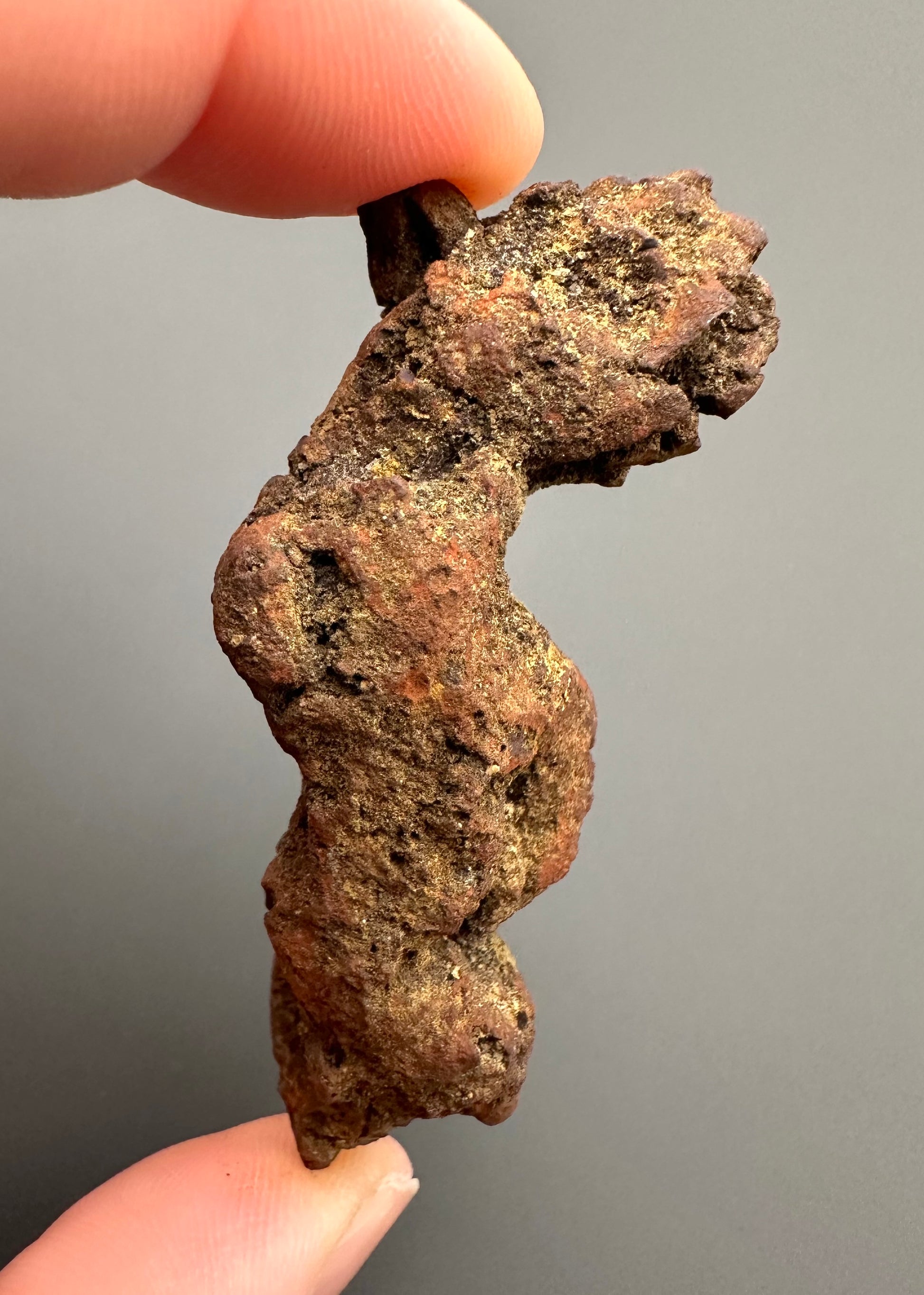 Coprolite - Marovato, - Madagascar - FH014