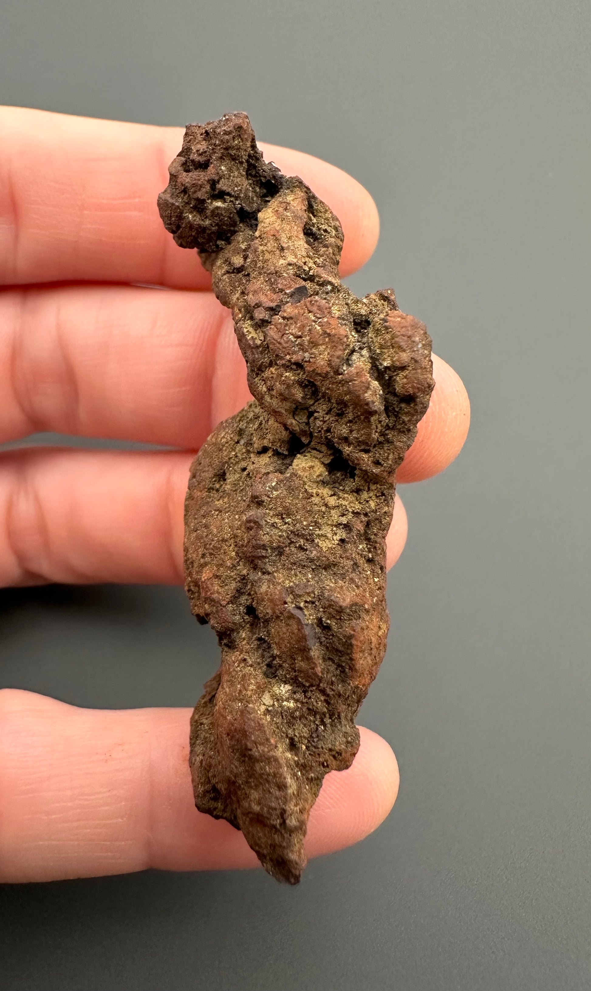 Coprolite - Marovato, - Madagascar - FH014