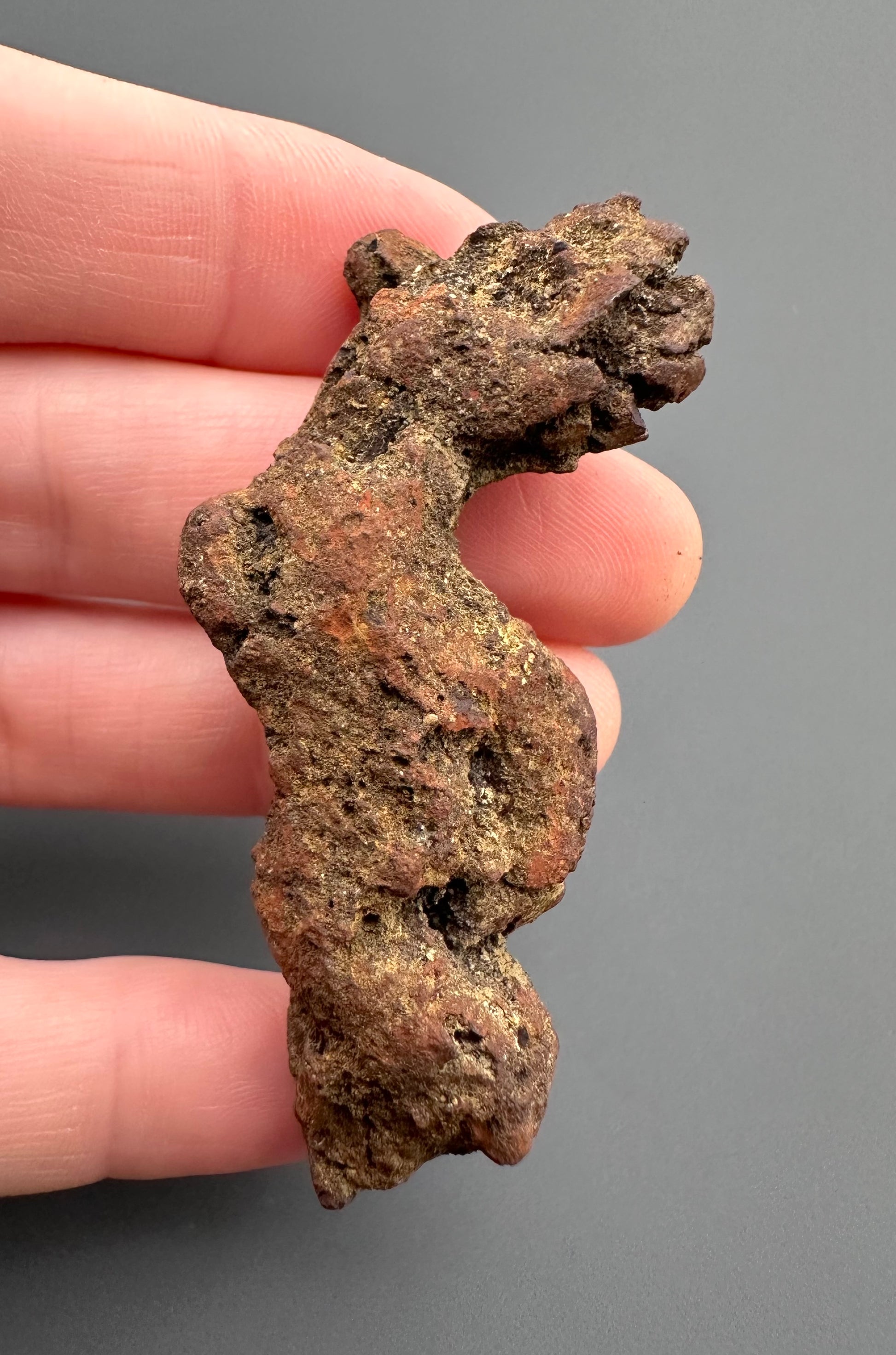 Coprolite - Marovato, - Madagascar - FH014