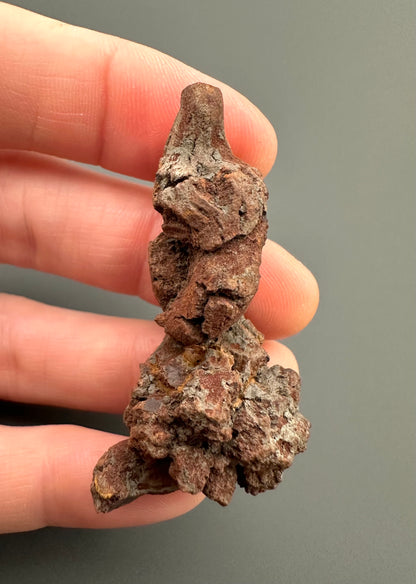 Coprolite - Marovato, - Madagascar - FH015