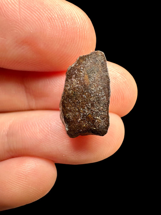 Meteorite Gattoalina 500 – Chile – MECA01