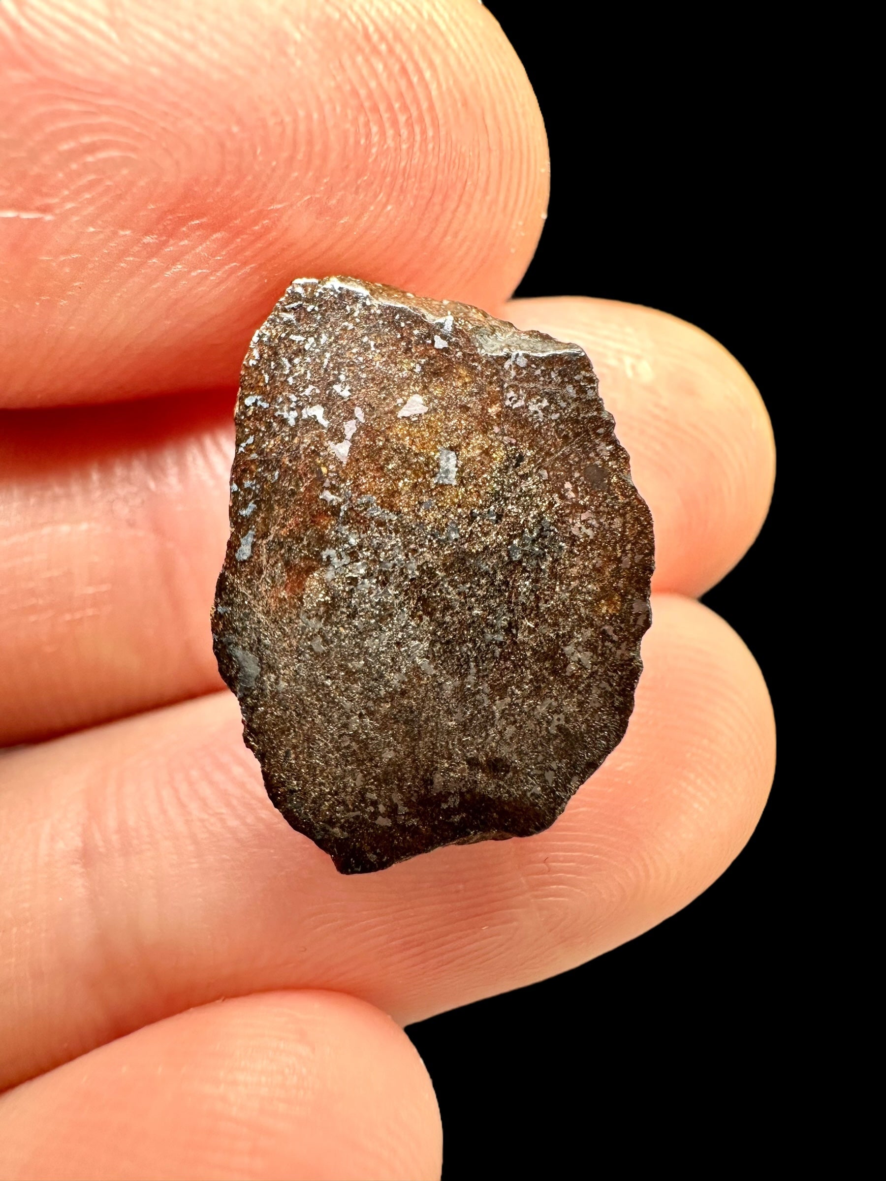 Meteorite Catalina 500 – 2g – Chile