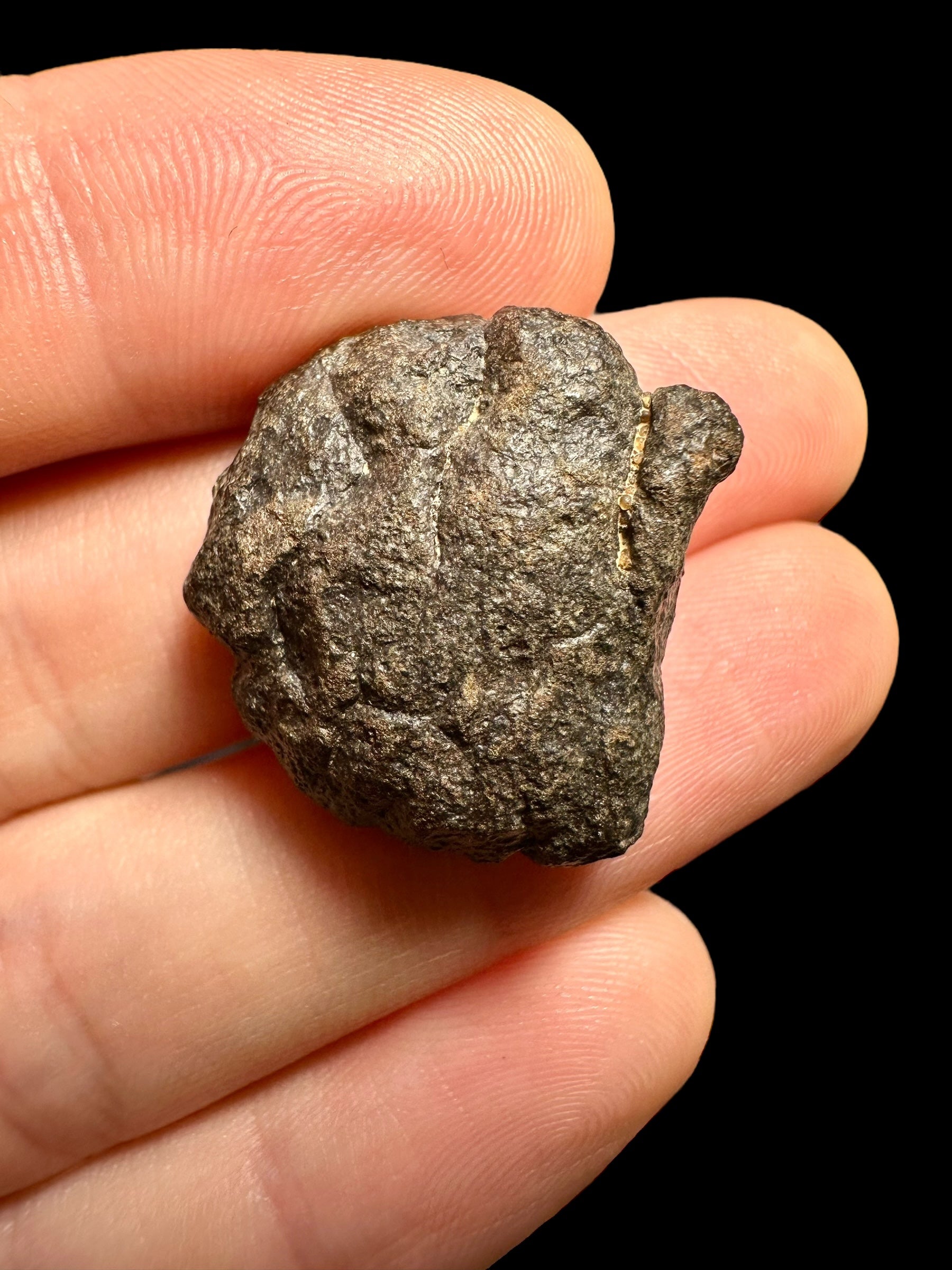Meteorite Abadla 004 – 8,04g – Algeria - MEAB01