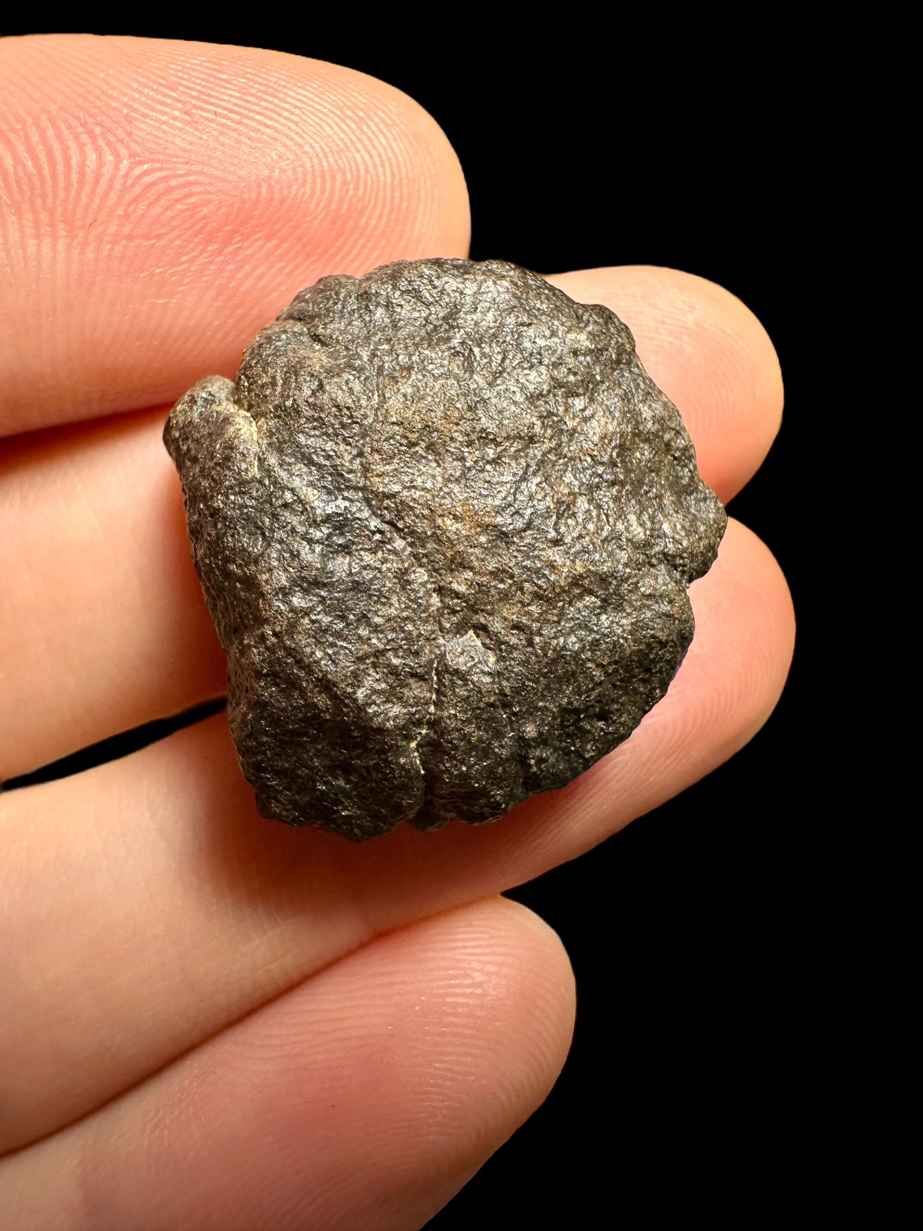 Meteorite Abadla 004 – 8,04g – Algeria - MEAB01