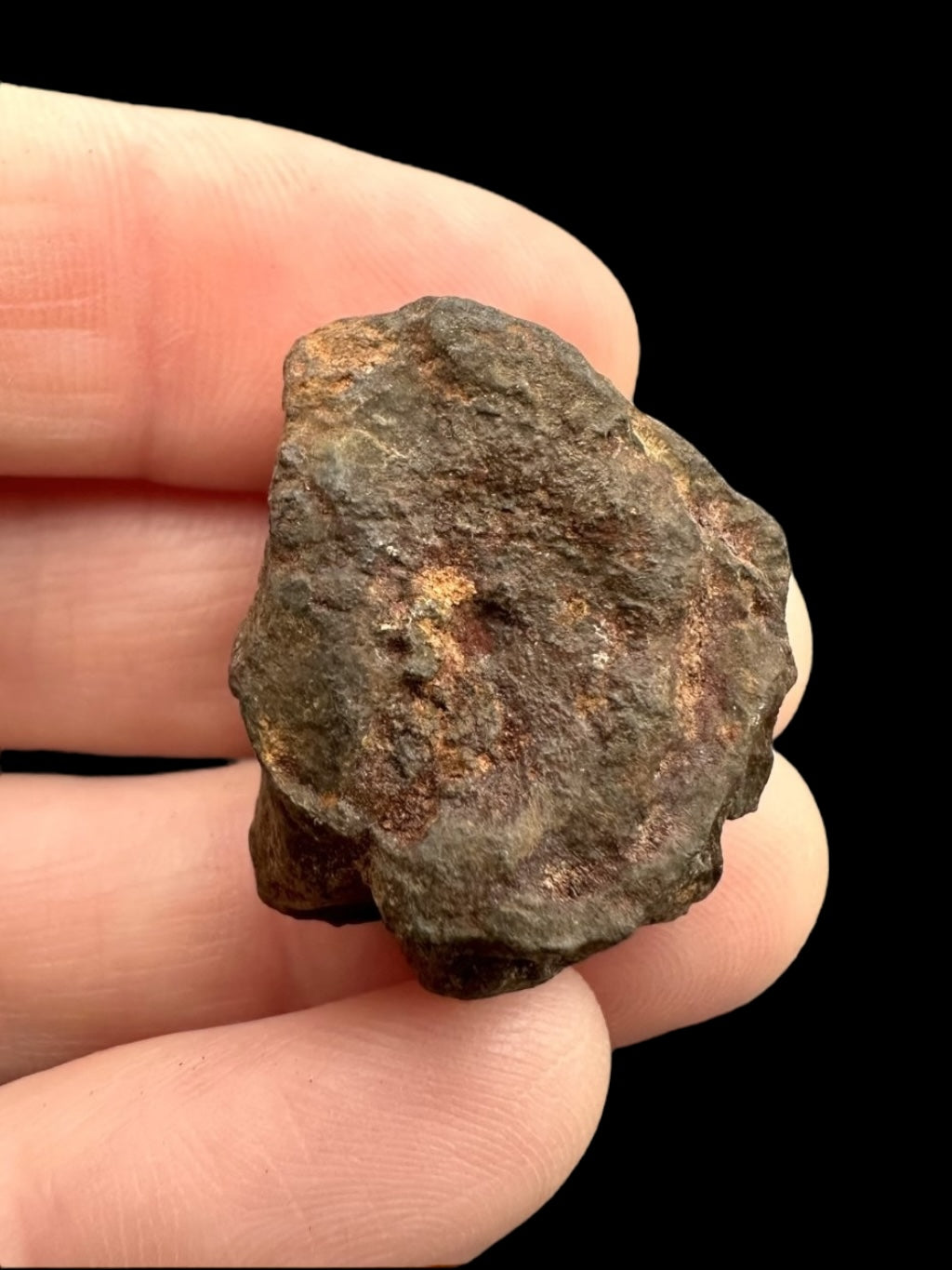 Meteorite Agoudal "Imilchil" 14,8g – Morocco - MEAG02