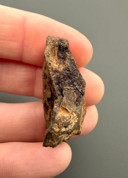 Meteorite Agoudal "Imilchil" – Morocco – MEAG04