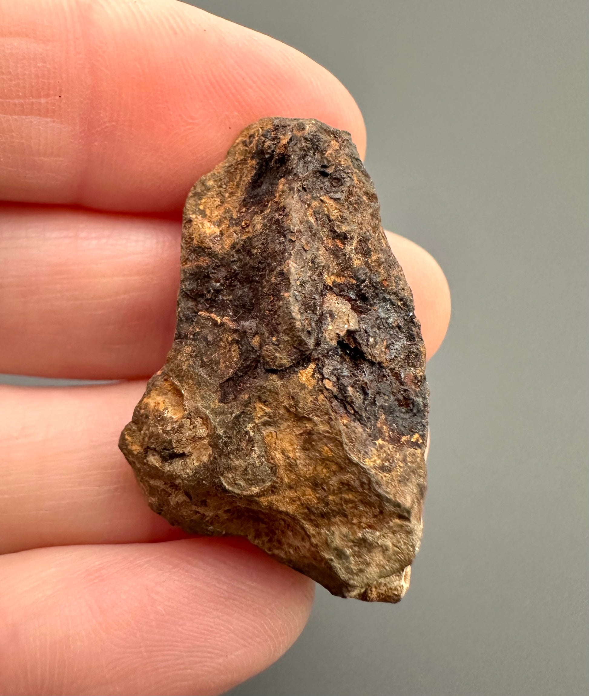 Meteorite Agoudal "Imilchil" – Morocco – MEAG04