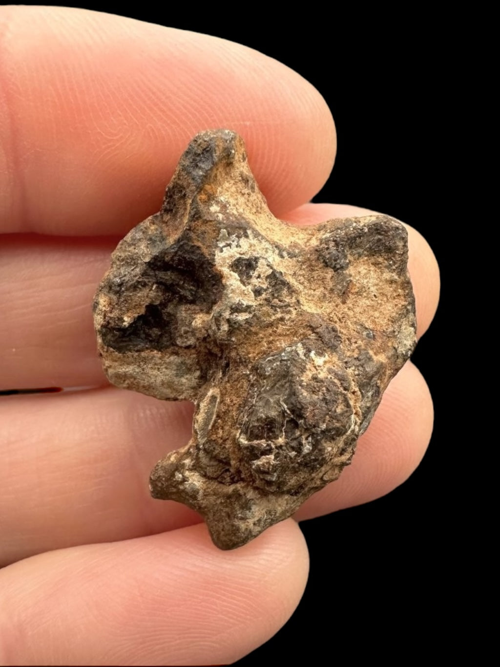 Meteorite Agoudal "Imilchil" 11,6g – Morocco