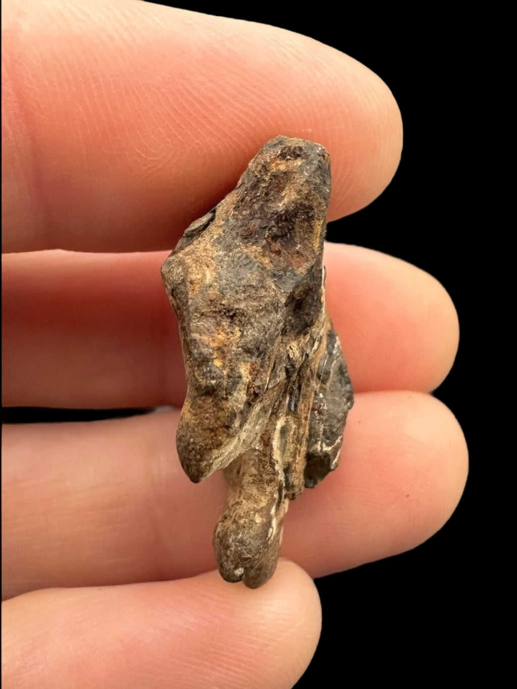 Meteorite Agoudal "Imilchil" 11,6g – Morocco - MEAG08