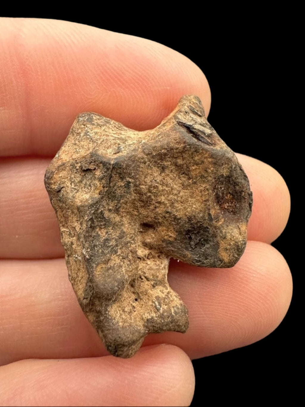 Meteorite Agoudal "Imilchil" 11,6g – Morocco - MEAG08