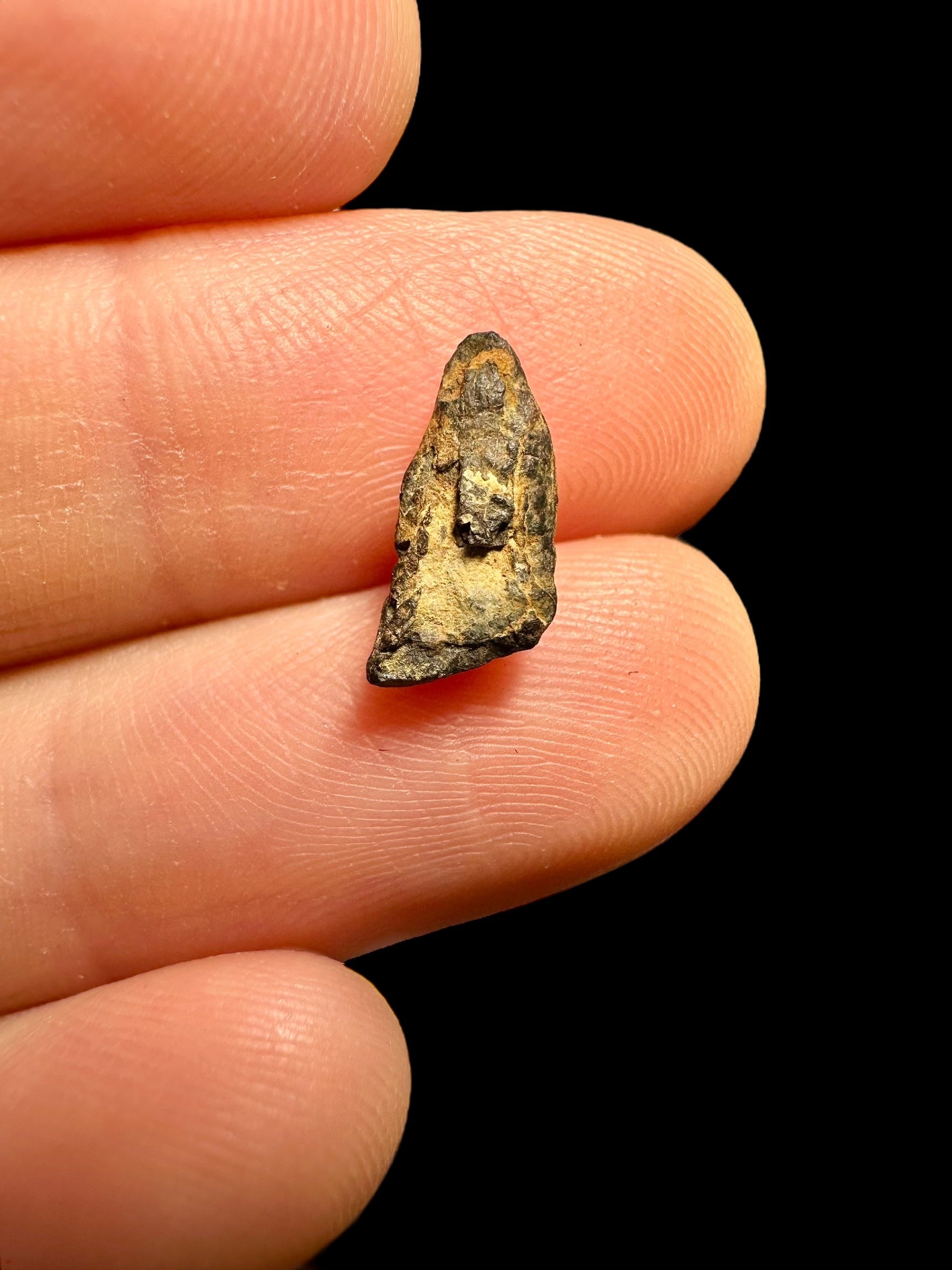 Meteorite Agoudal "Imilchil" 0,51g – Morocco - MEAG10