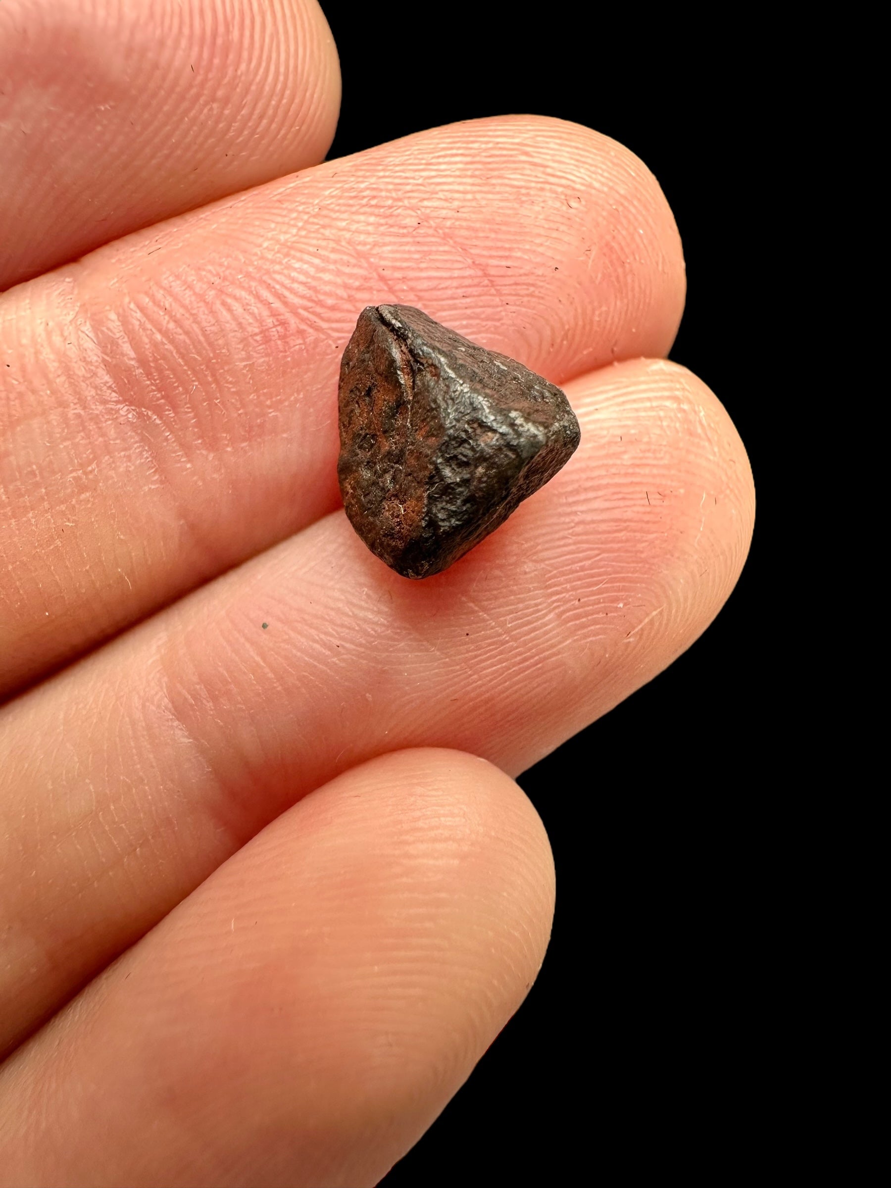 Meteorite Gibeon 1,38g – Namibia - MEGI05