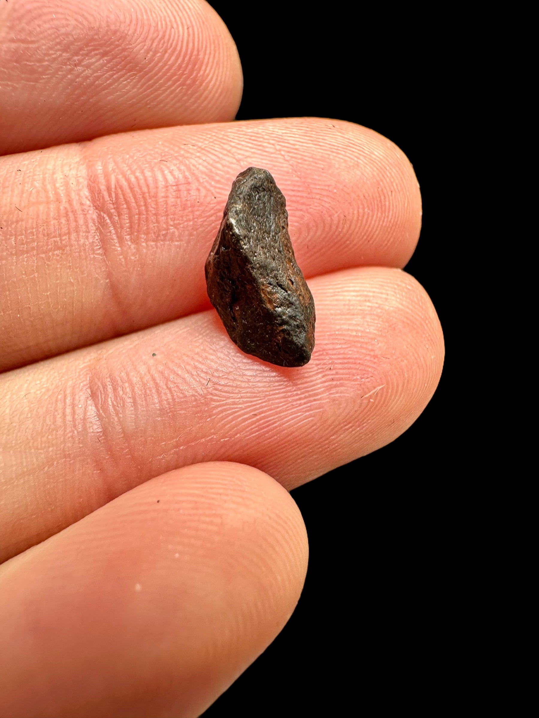 Meteorite Gibeon 1,01g – Namibia - MEGI07