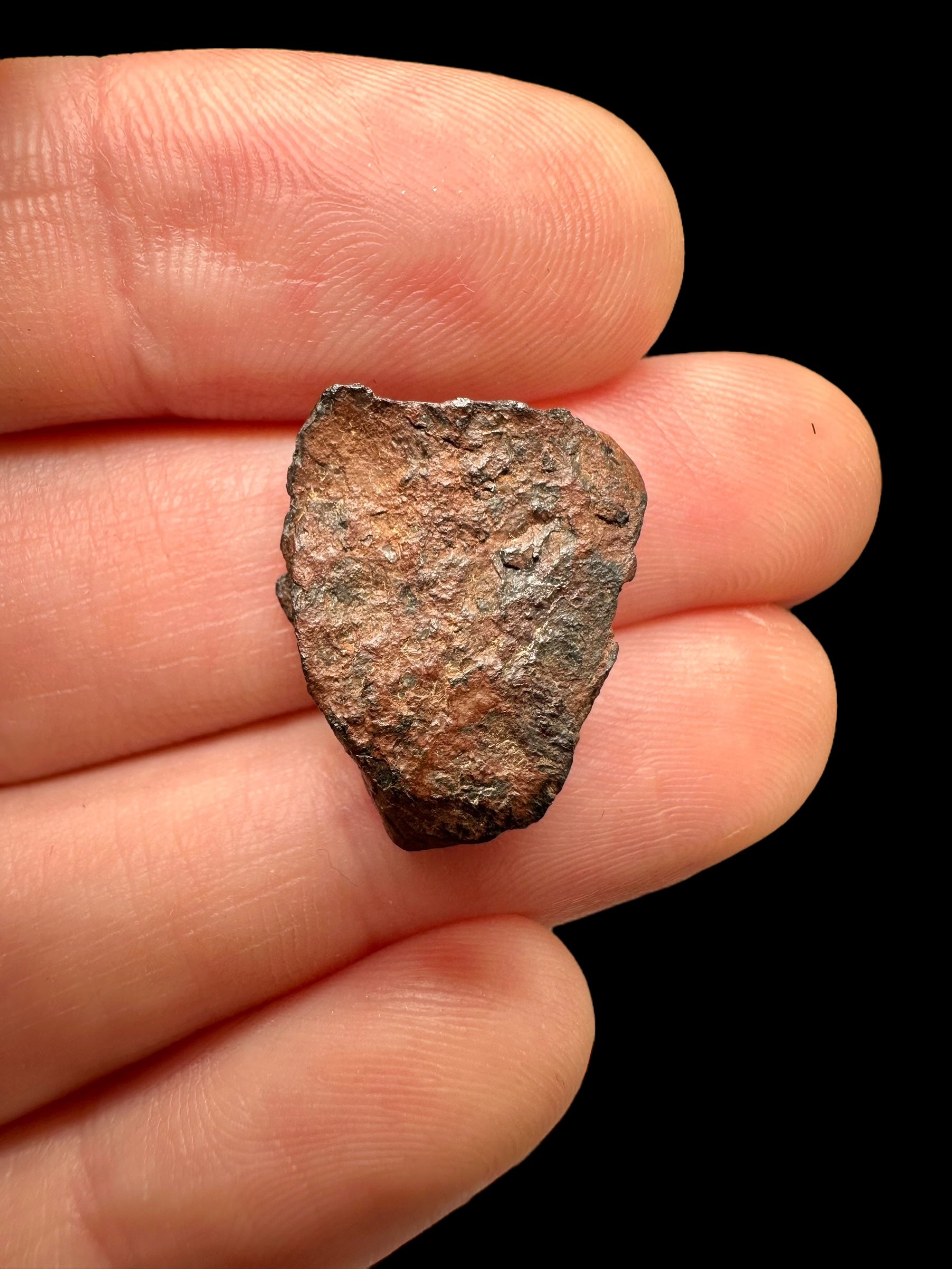 Meteorite Gibeon 2,87g – Namibia - MEGI10