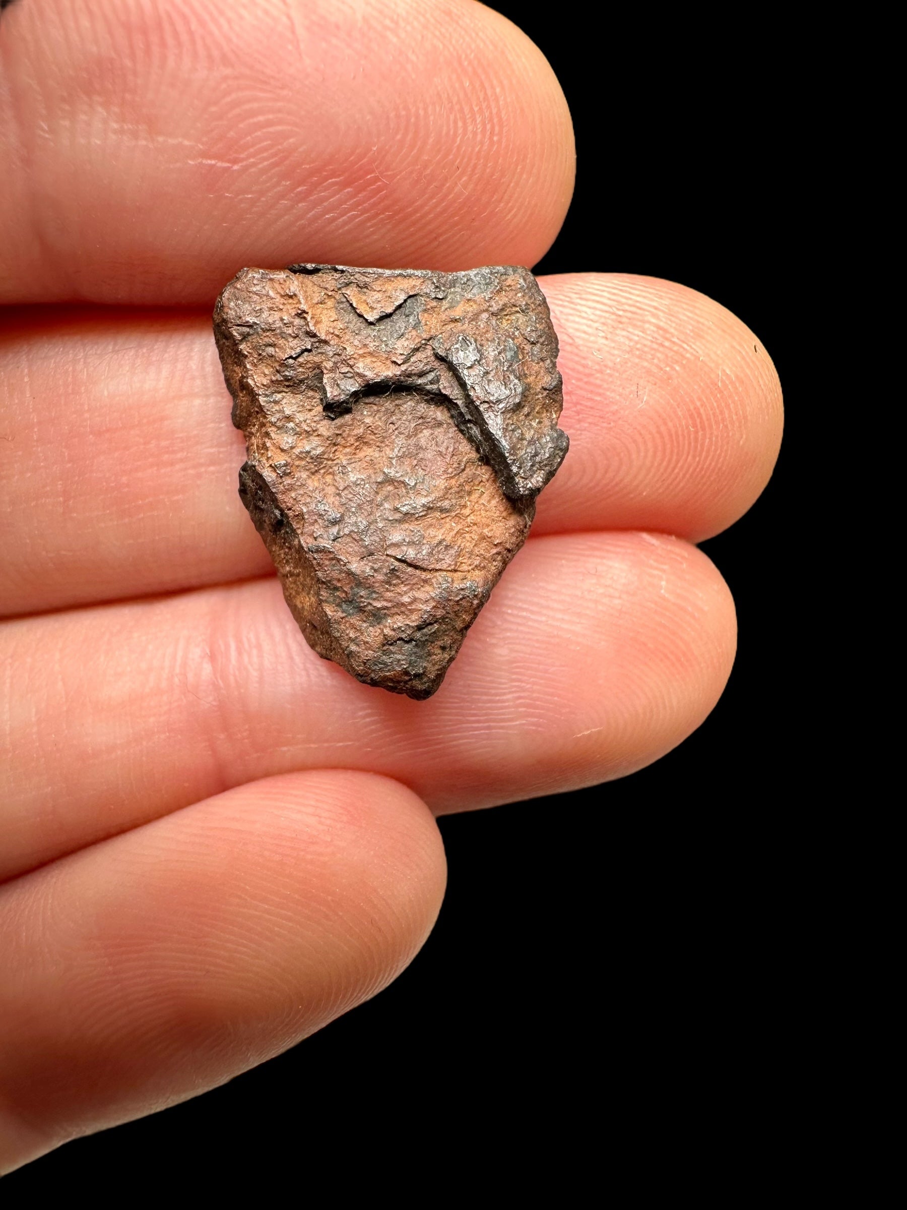 Meteorite Gibeon 2,87g – Namibia - MEGI10