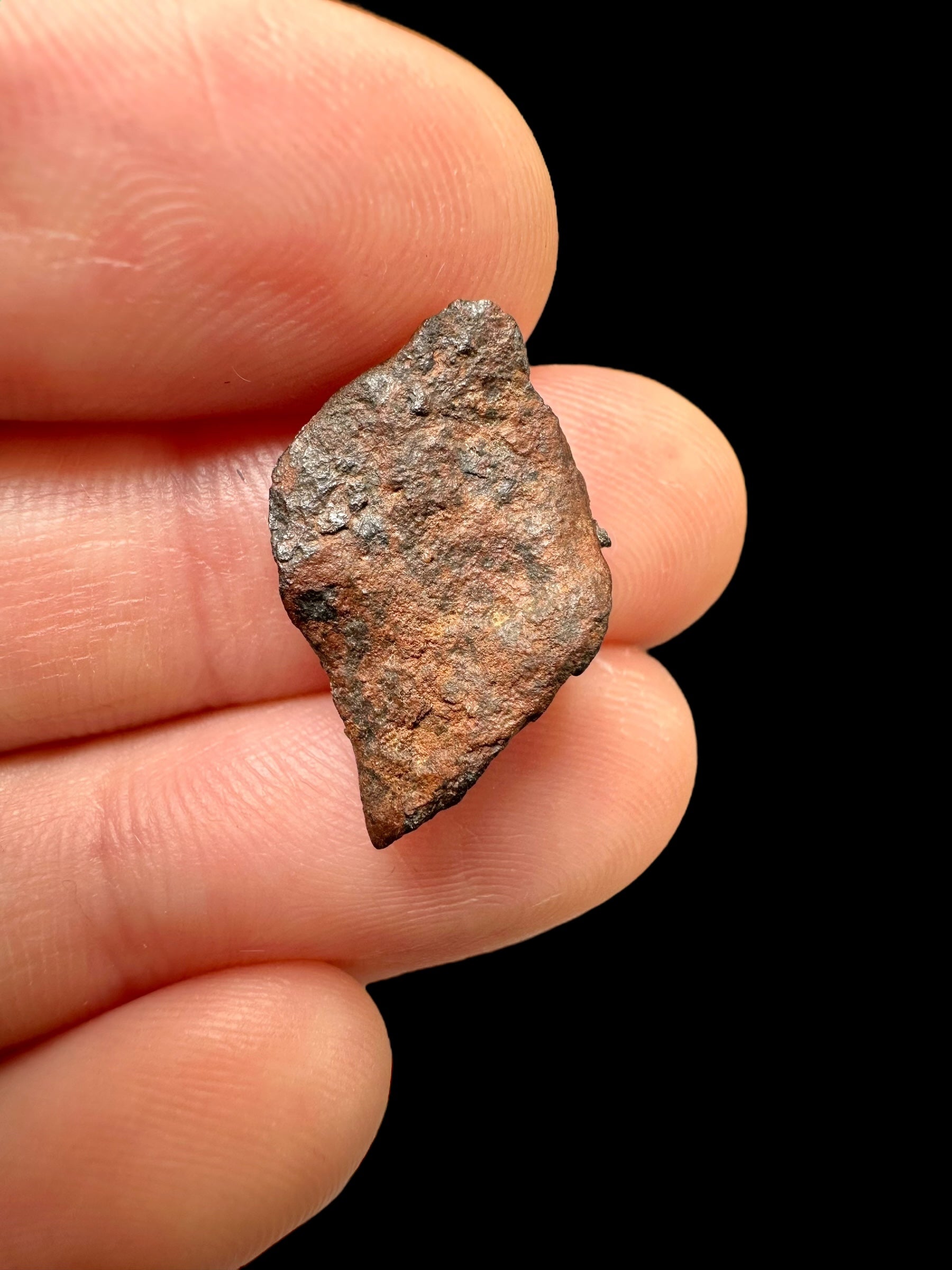 Meteorite Gibeon 2,18g – Namibia - MEGI12
