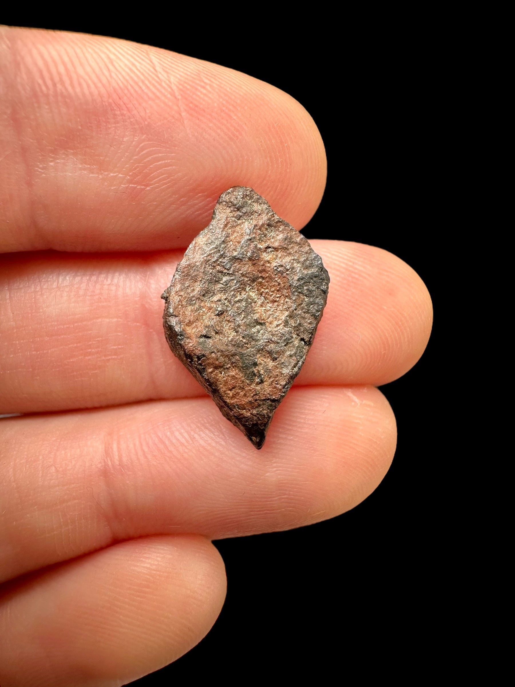 Meteorite Gibeon 2,18g – Namibia - MEGI12