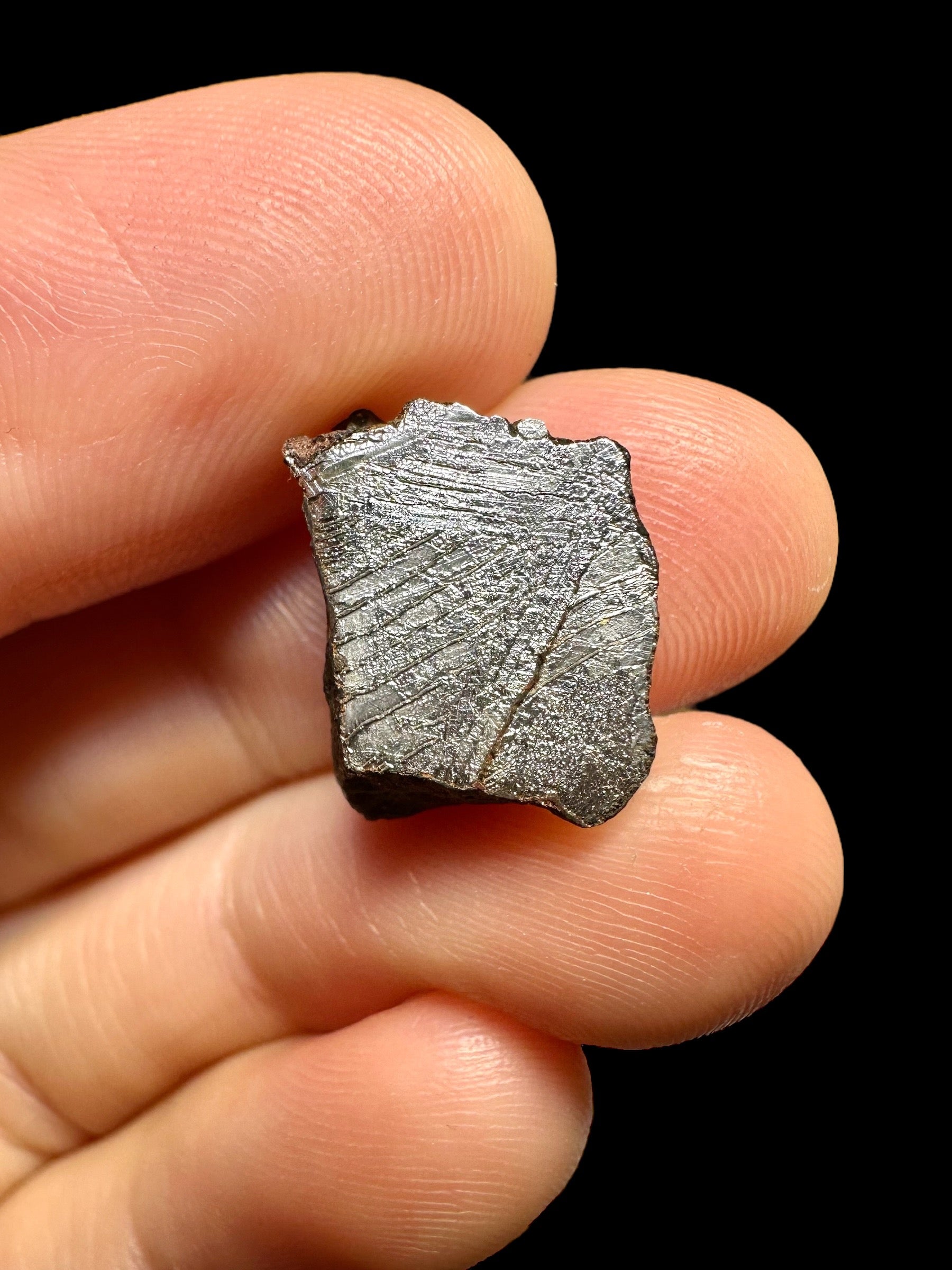 Meteorite Mundrabilla 3,94g / endcut – Australia - MEMU39