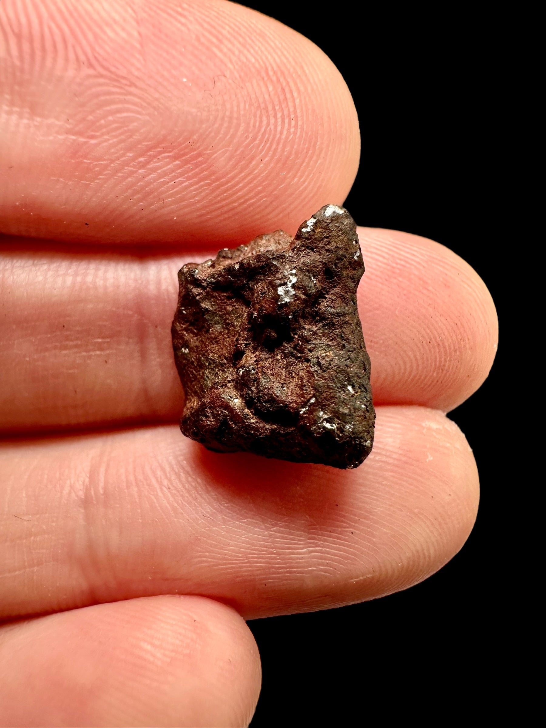 Meteorite Mundrabilla 3,94g / endcut – Australia - MEMU39