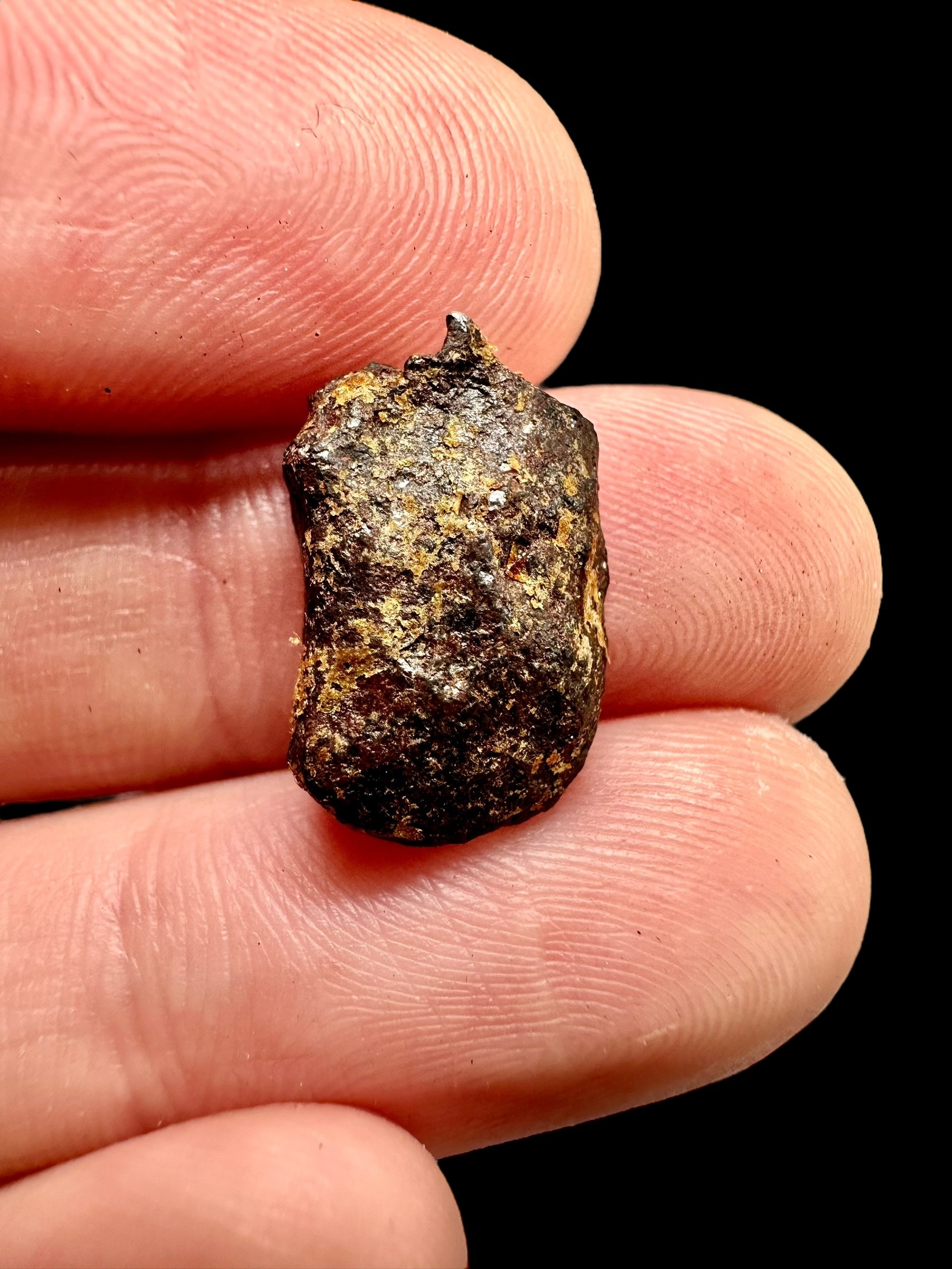 Meteorite Mundrabilla 3,2g / endcut – Australia - MEMU40