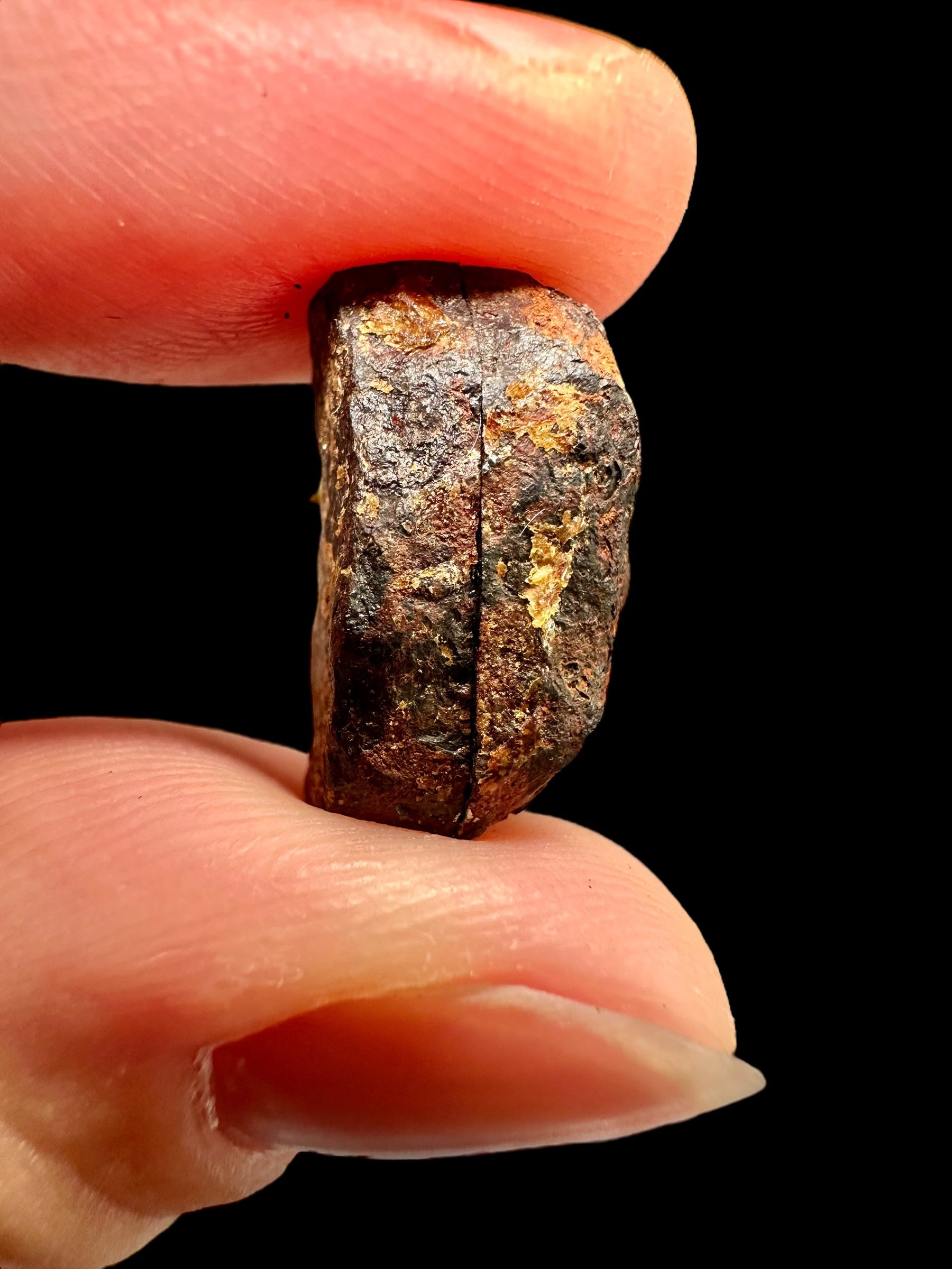 Meteorite Mundrabilla (pair) 7,95g – Nullarbor plain, Australia - MEMU41