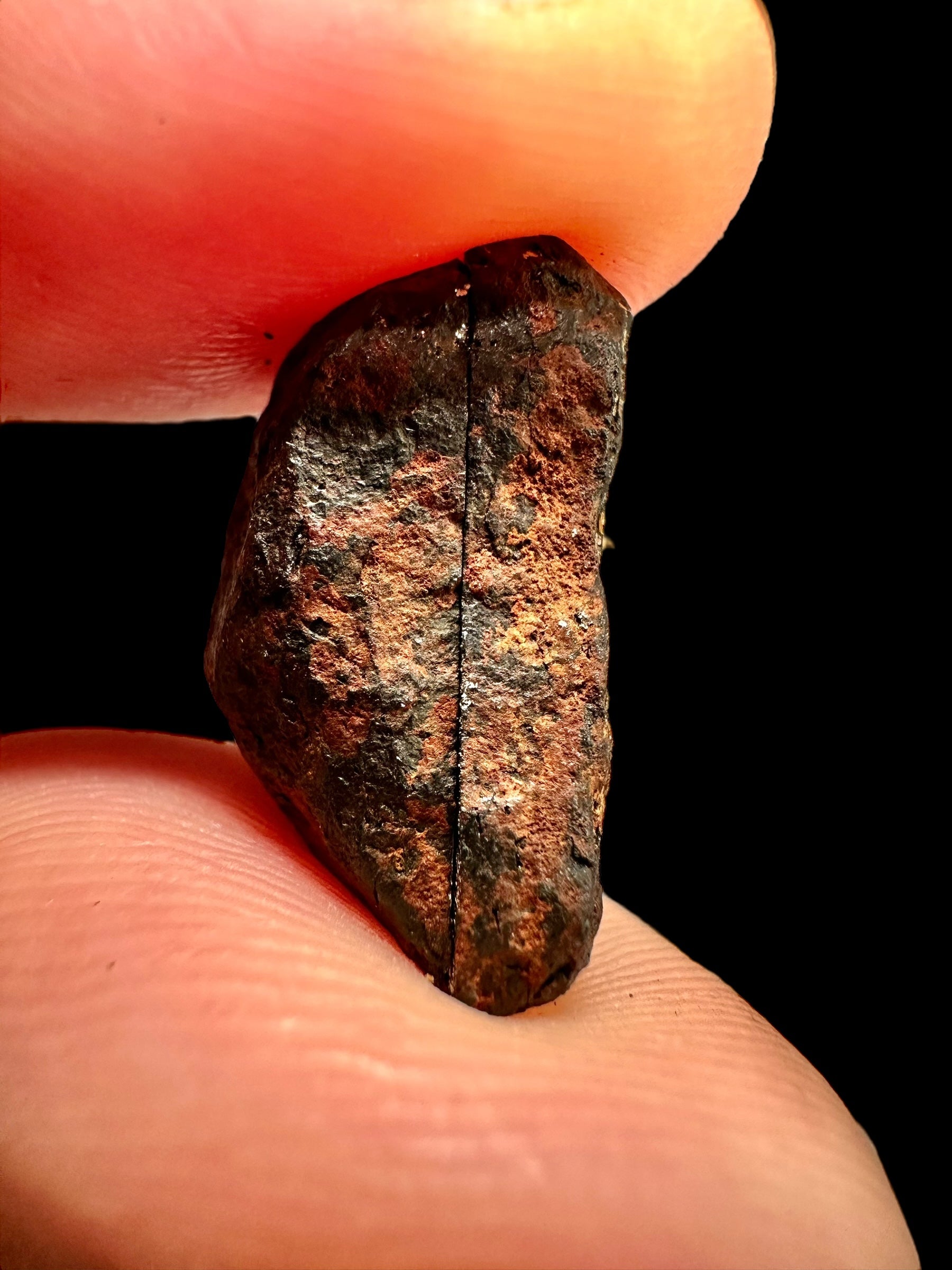 Meteorite Mundrabilla (pair) 7,95g – Nullarbor plain, Australia - MEMU41