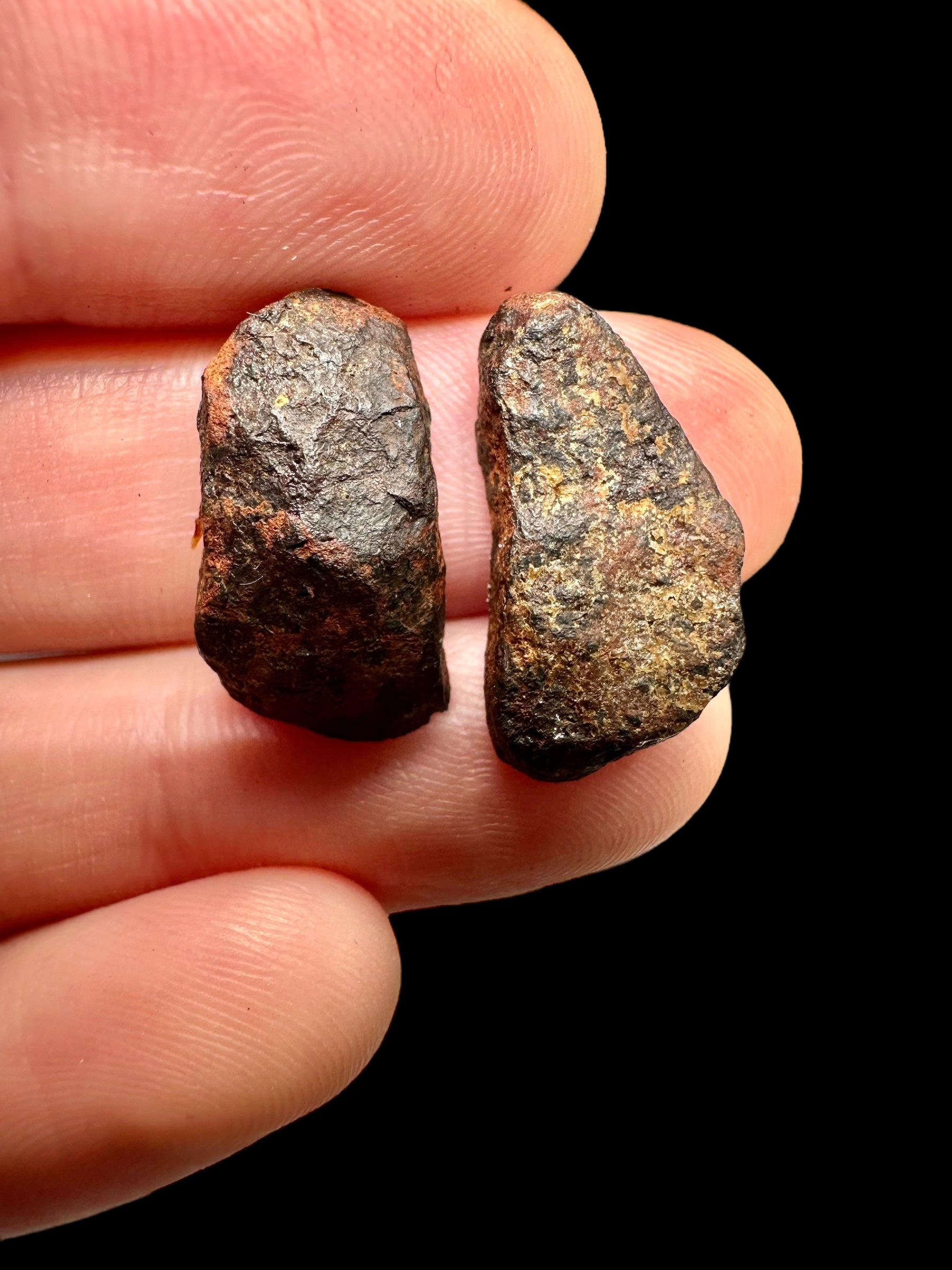 Meteorite Mundrabilla (pair) 7,95g – Nullarbor plain, Australia - MEMU41