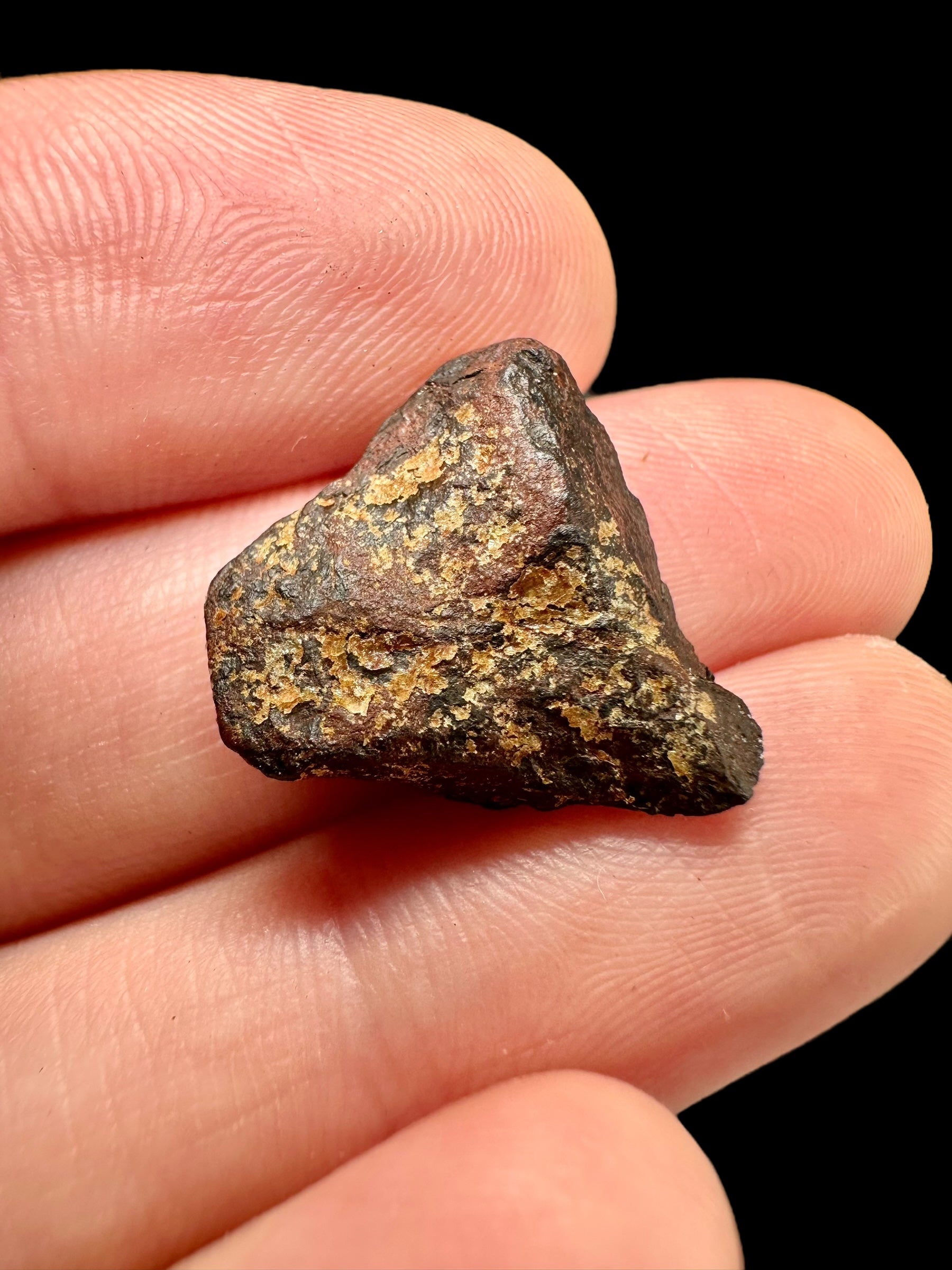 Meteorite Mundrabilla 4,16g / endcut – Australia - MEMU42