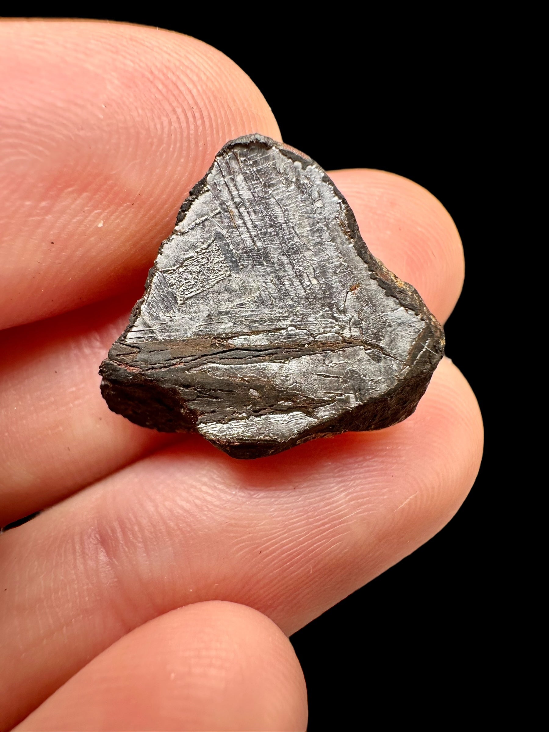 Meteorite Mundrabilla 4,16g / endcut – Australia - MEMU42