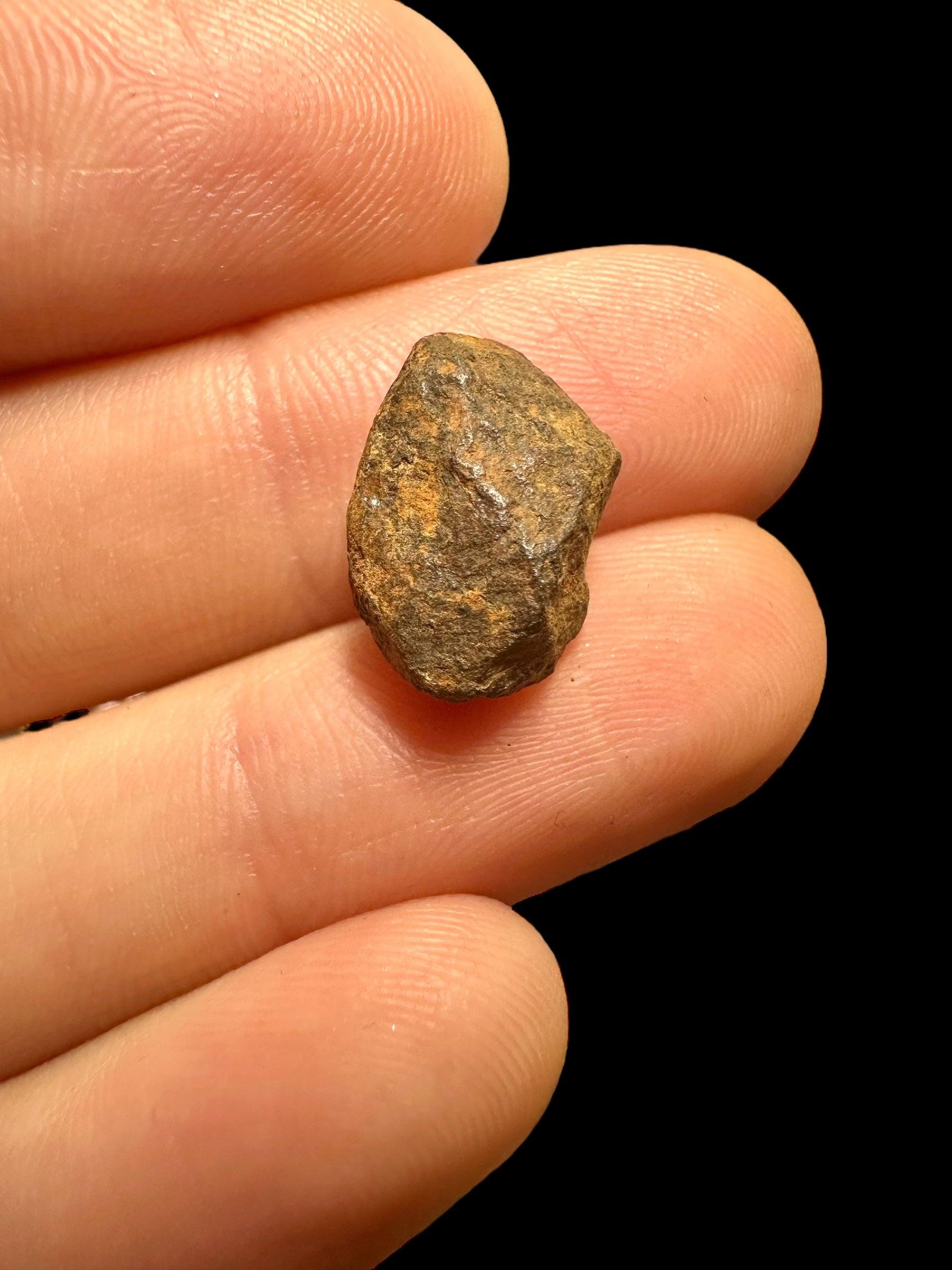 Meteorite Mundrabilla 2,76g – Nullarbor plain, Australia - MEMU46