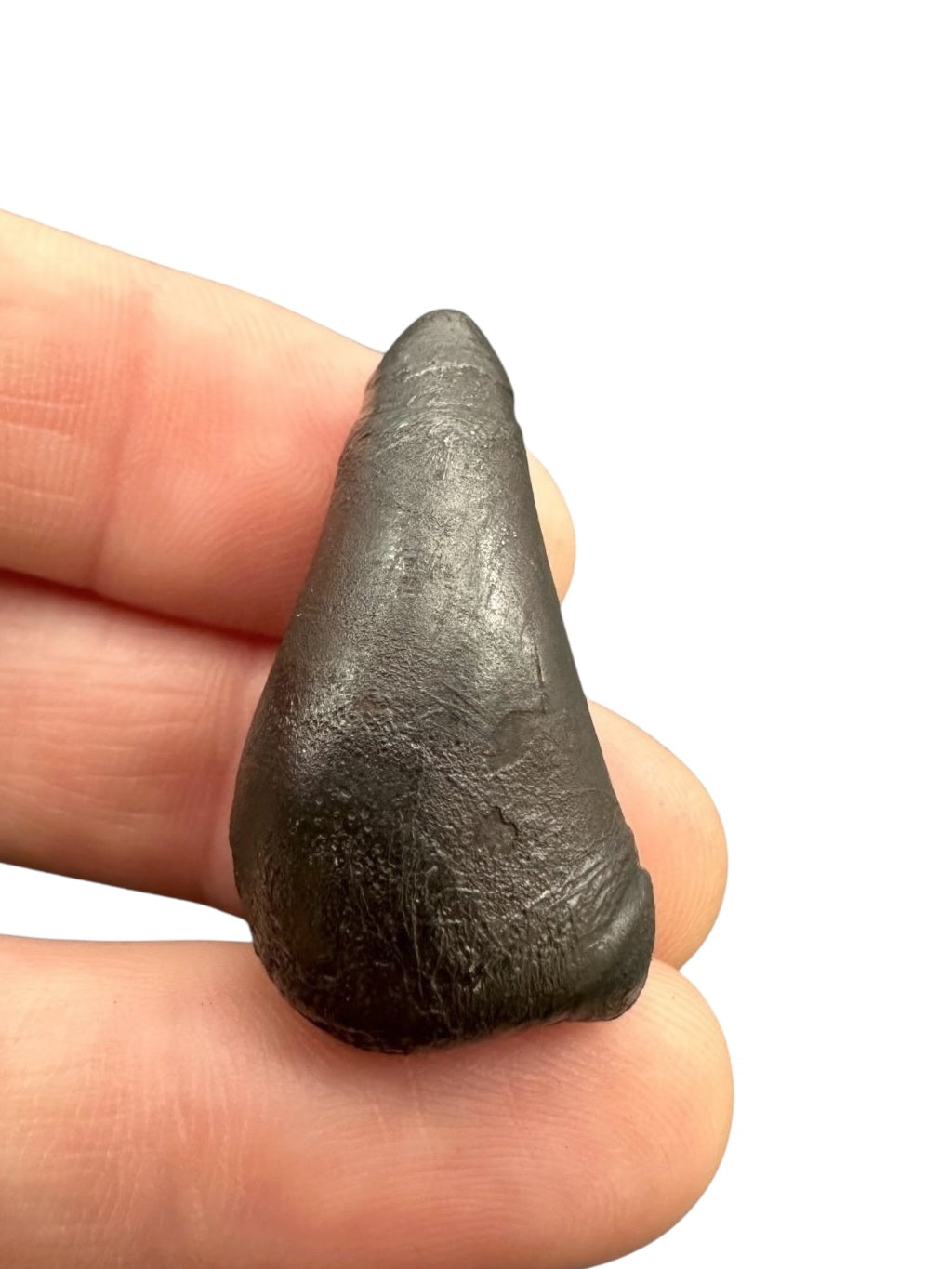 Meteorite Sikhote Alin 23g – Russia - MESI23