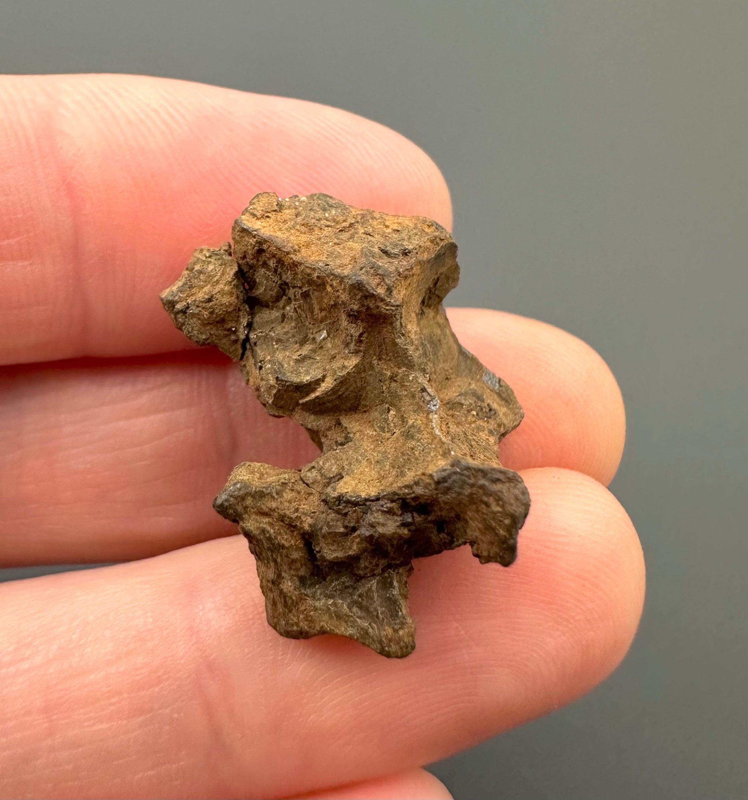 Sericho Pallasite Meteorite 6,6g – Kenya - MESR66