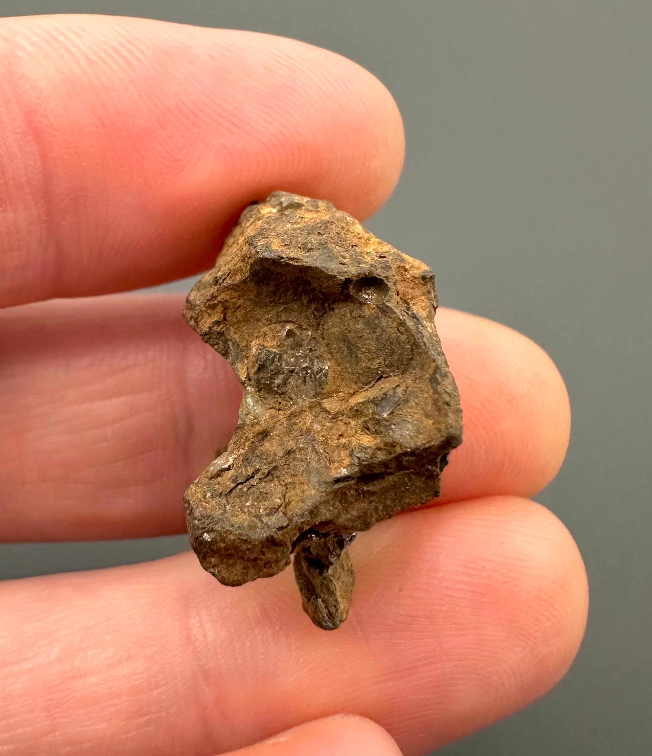 Sericho Pallasite Meteorite 6,6g – Kenya - MESR66