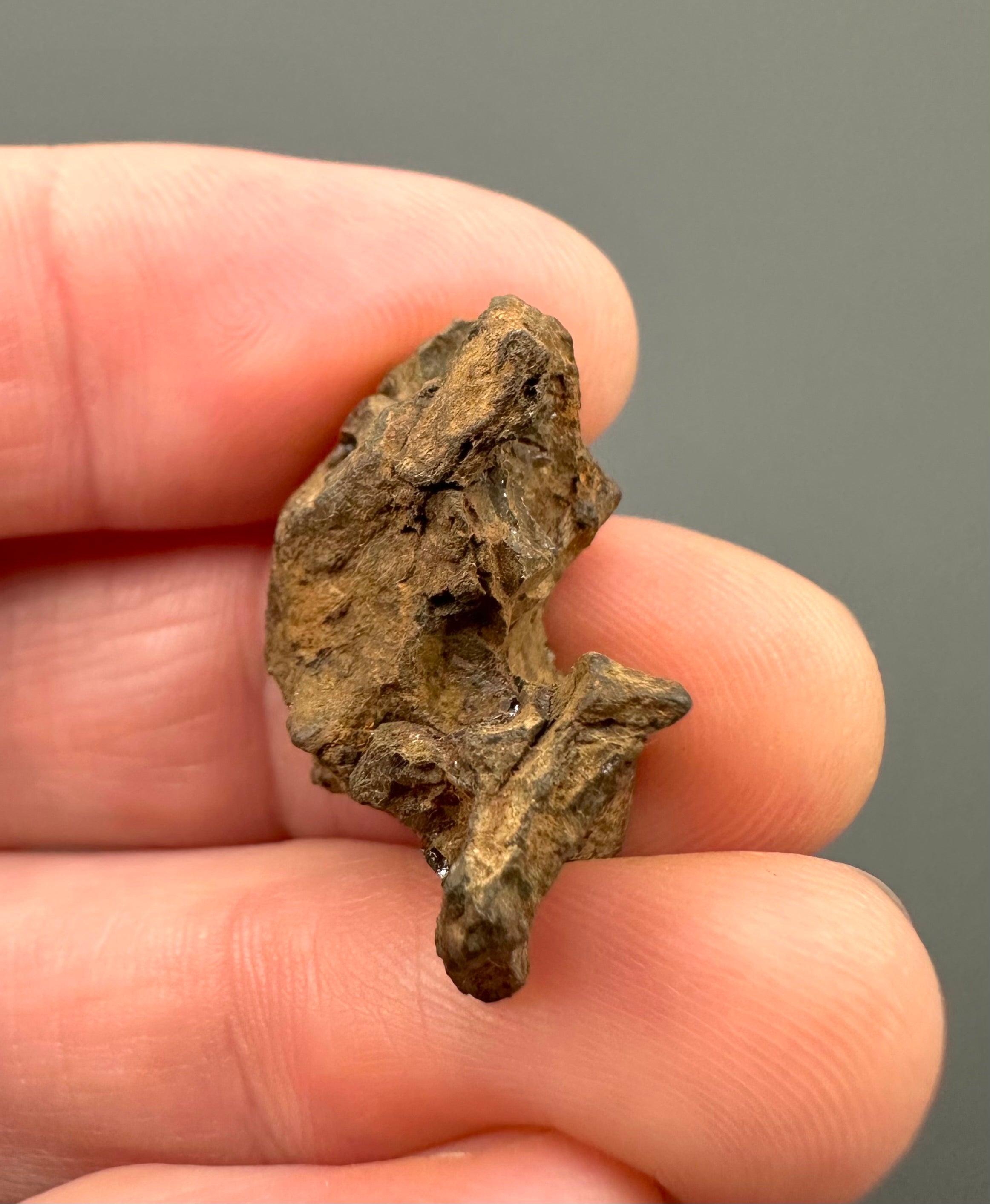 Sericho Pallasite Meteorite 6,6g – Kenya - MESR66