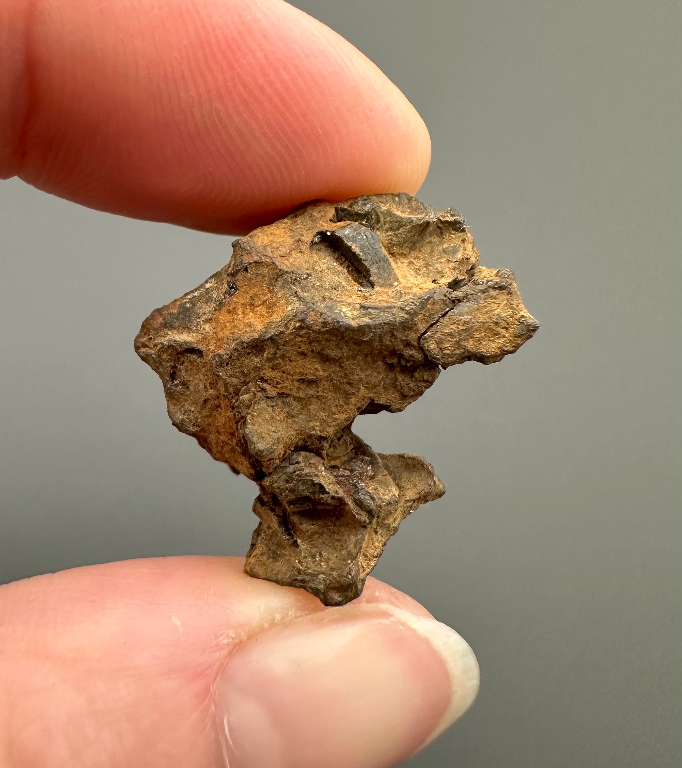Sericho Pallasite Meteorite 6,6g – Kenya - MESR66