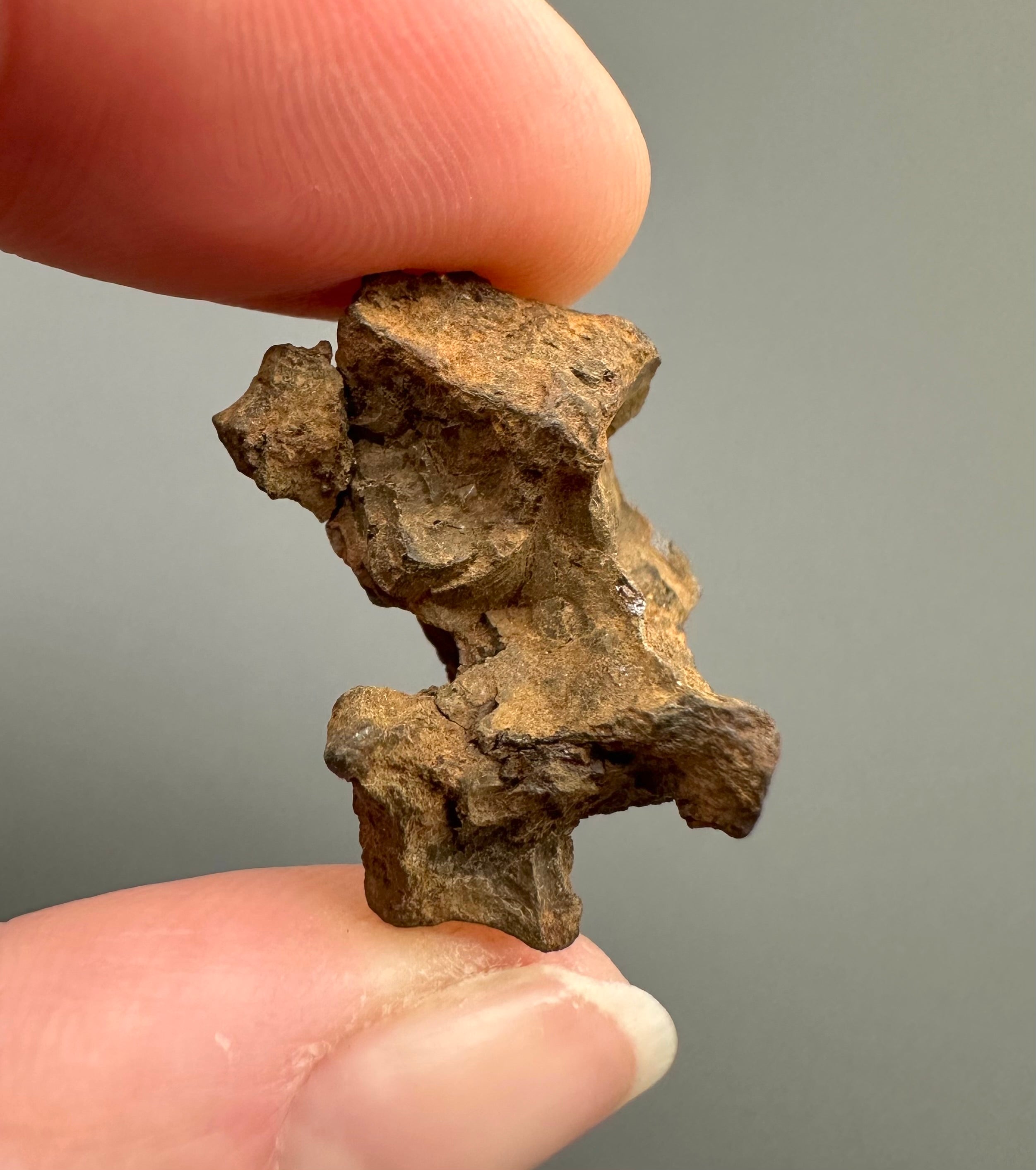 Sericho Pallasite Meteorite 6,6g – Kenya - MESR66