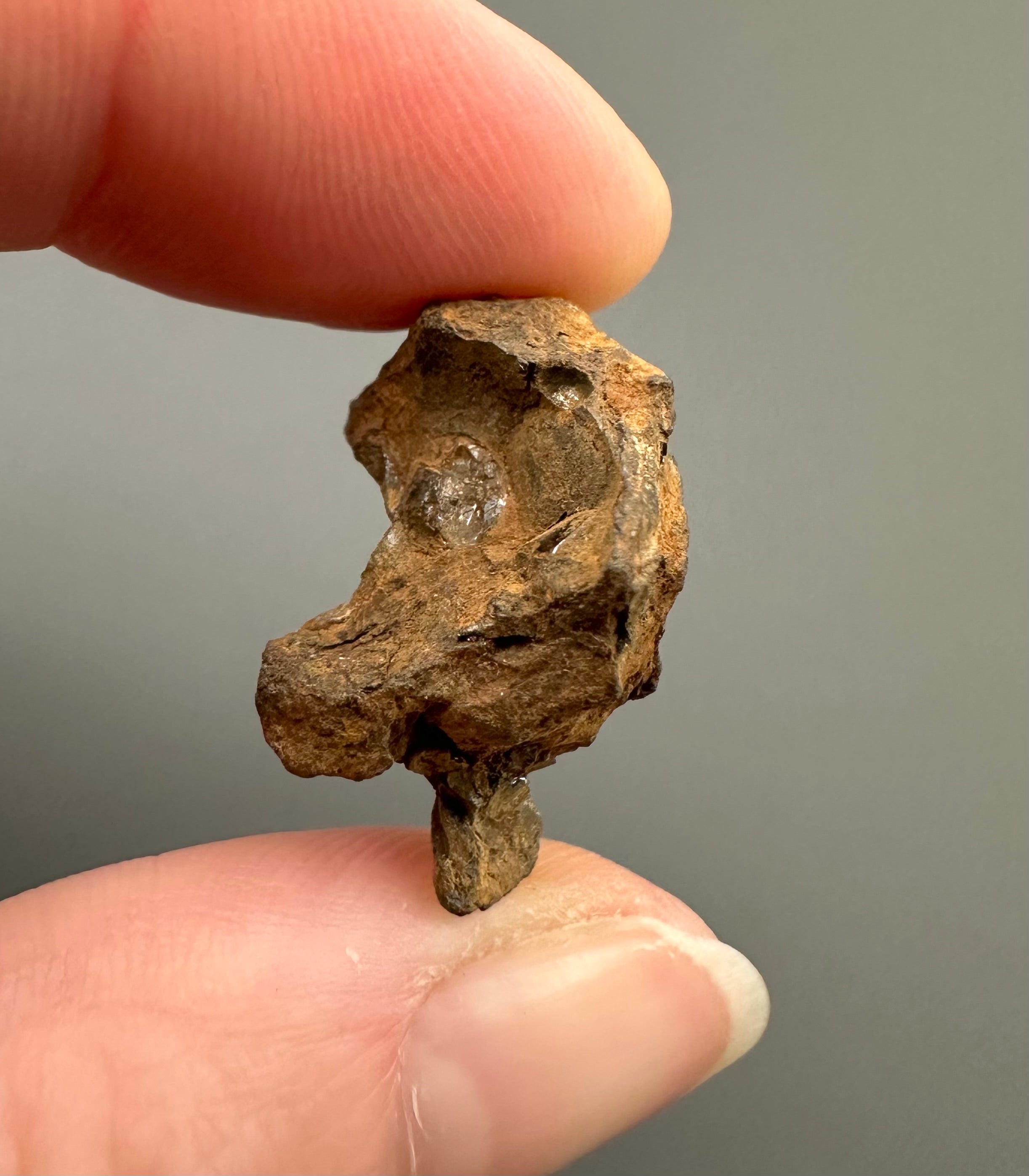 Sericho Pallasite Meteorite 6,6g – Kenya - MESR66