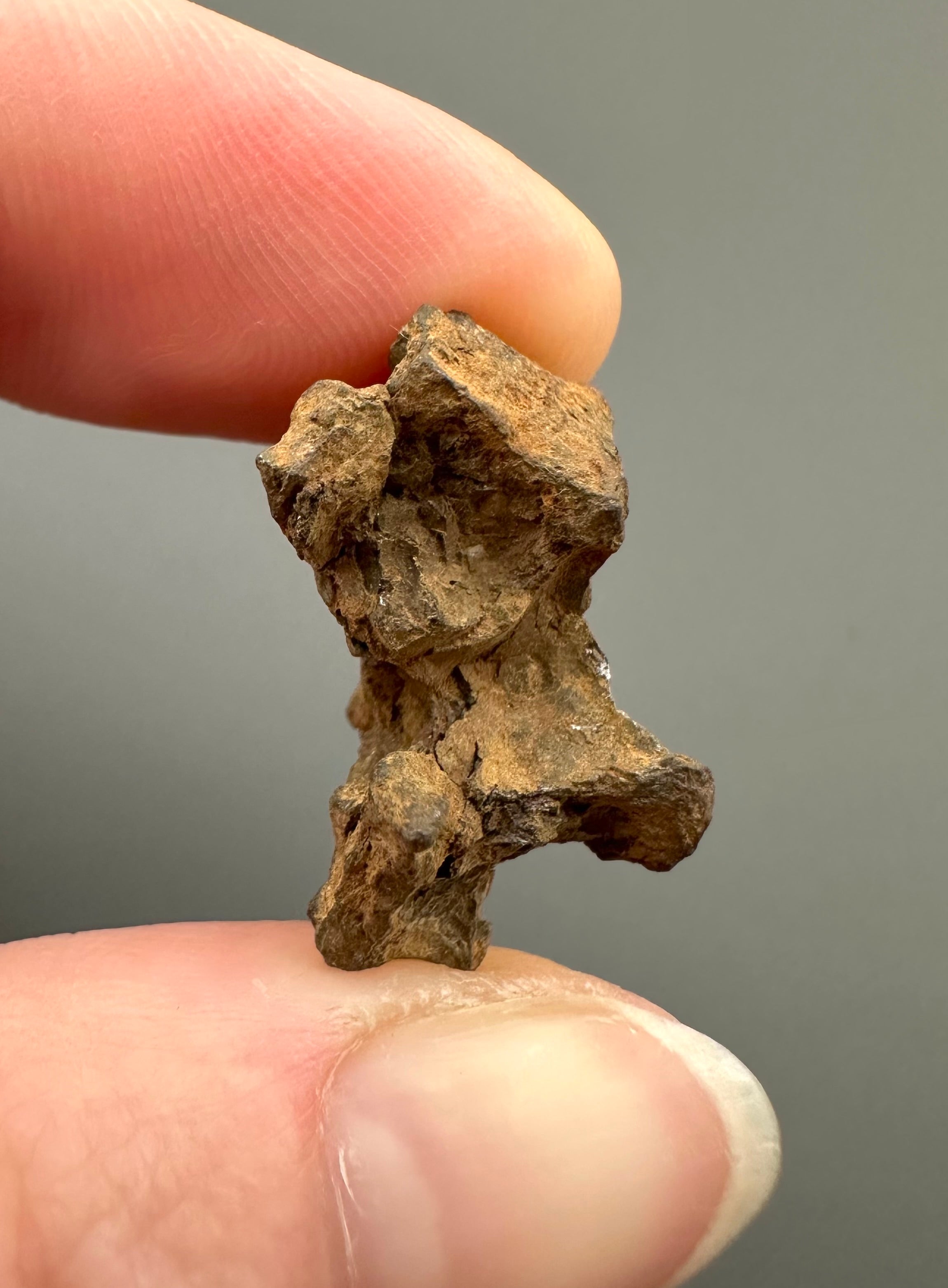 Sericho Pallasite Meteorite 6,6g – Kenya - MESR66