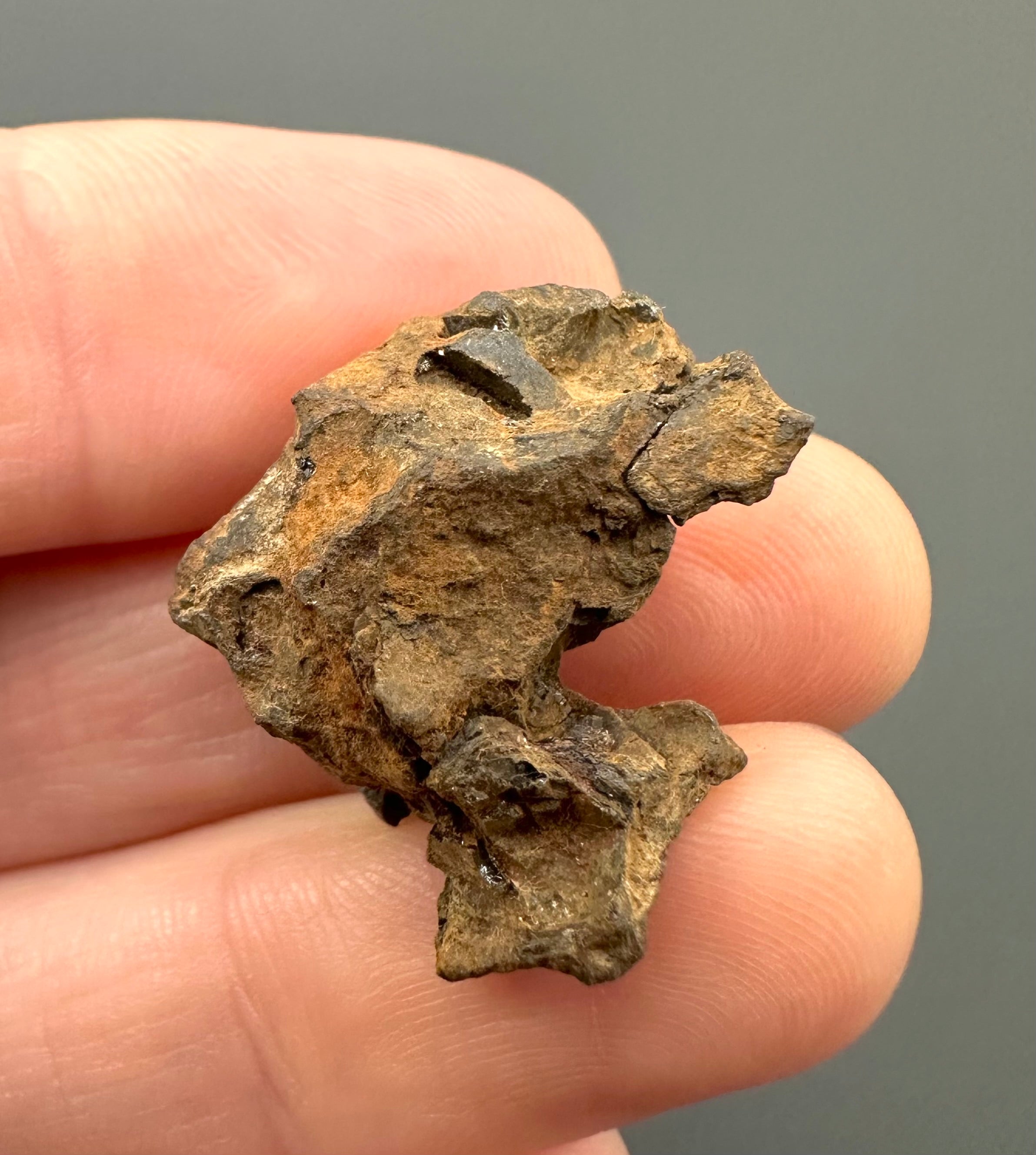 Sericho Pallasite Meteorite 6,6g – Kenya