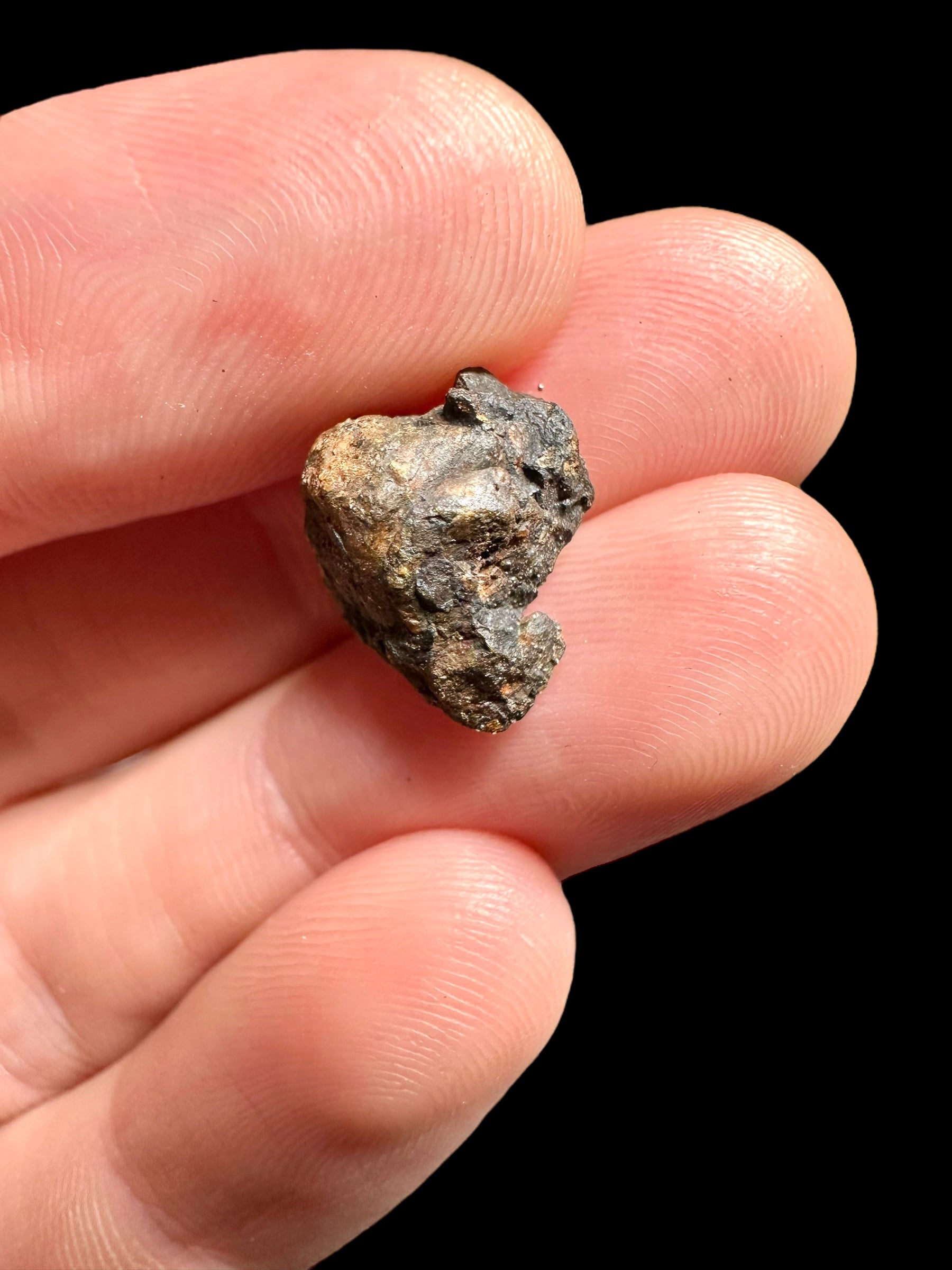 Meteorite Pallasite La'gad 002 – 1,34g – Western Sahara - MELA09