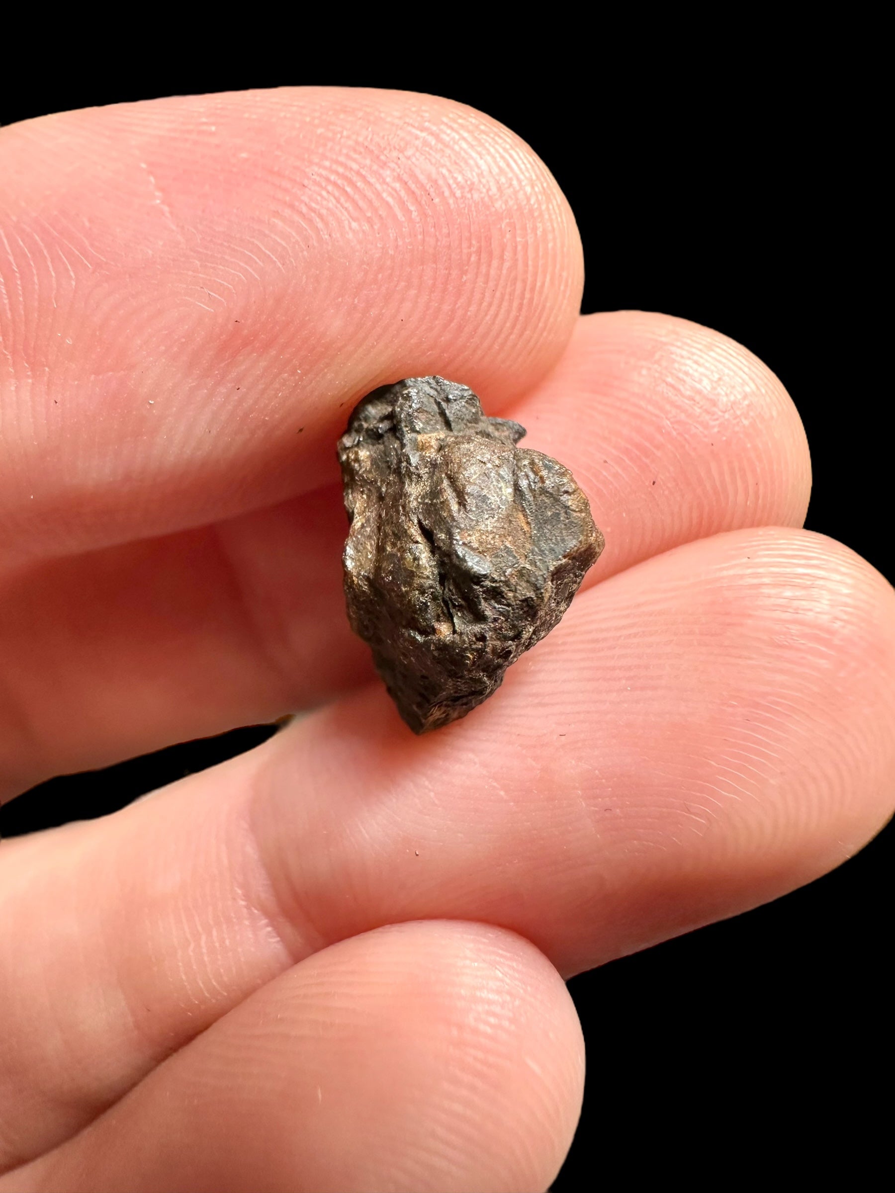 Meteorite Pallasite La'gad 002 – 1,34g – Western Sahara - MELA09
