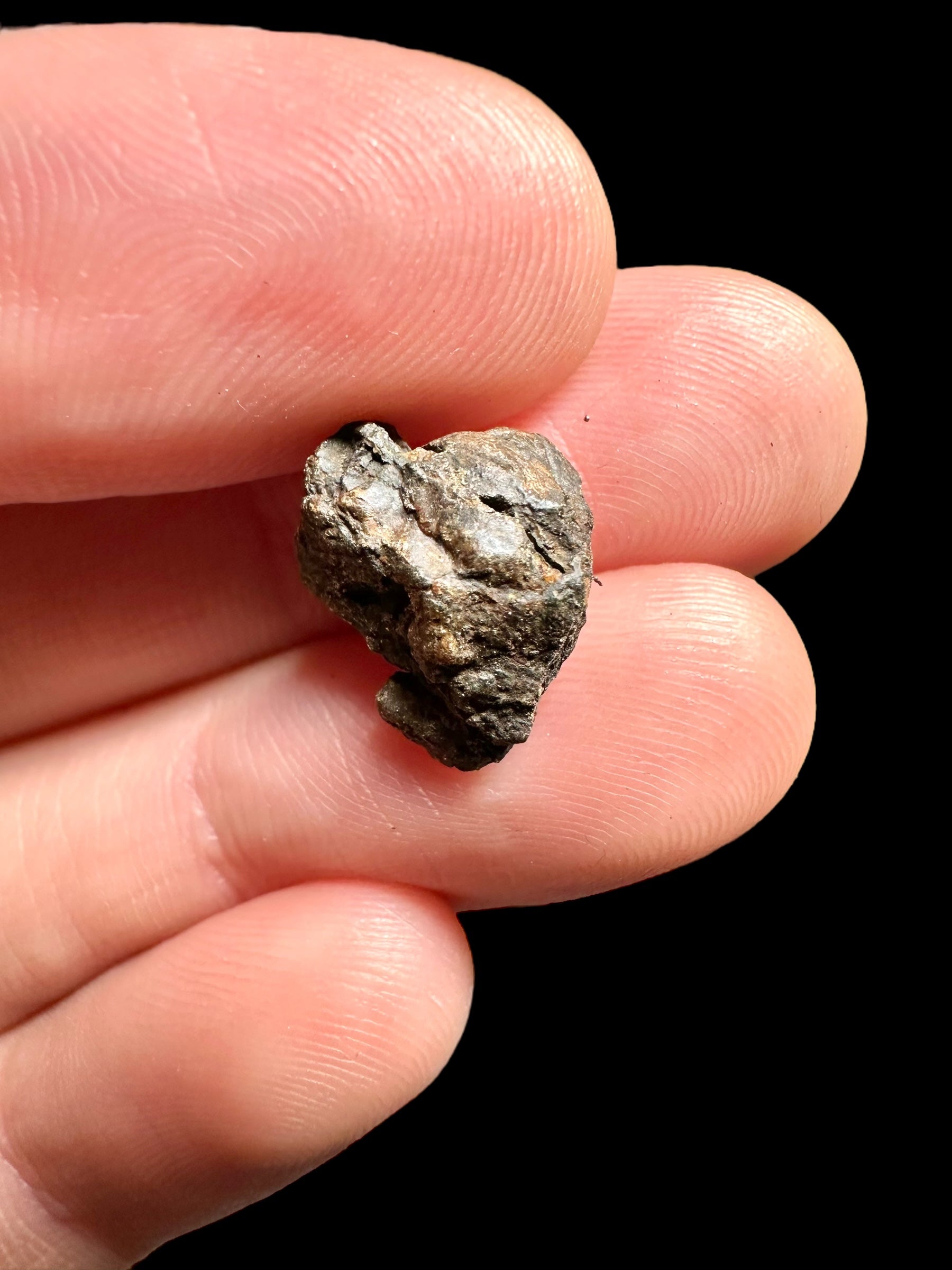 Meteorite Pallasite La'gad 002 – 1,34g – Western Sahara - MELA09