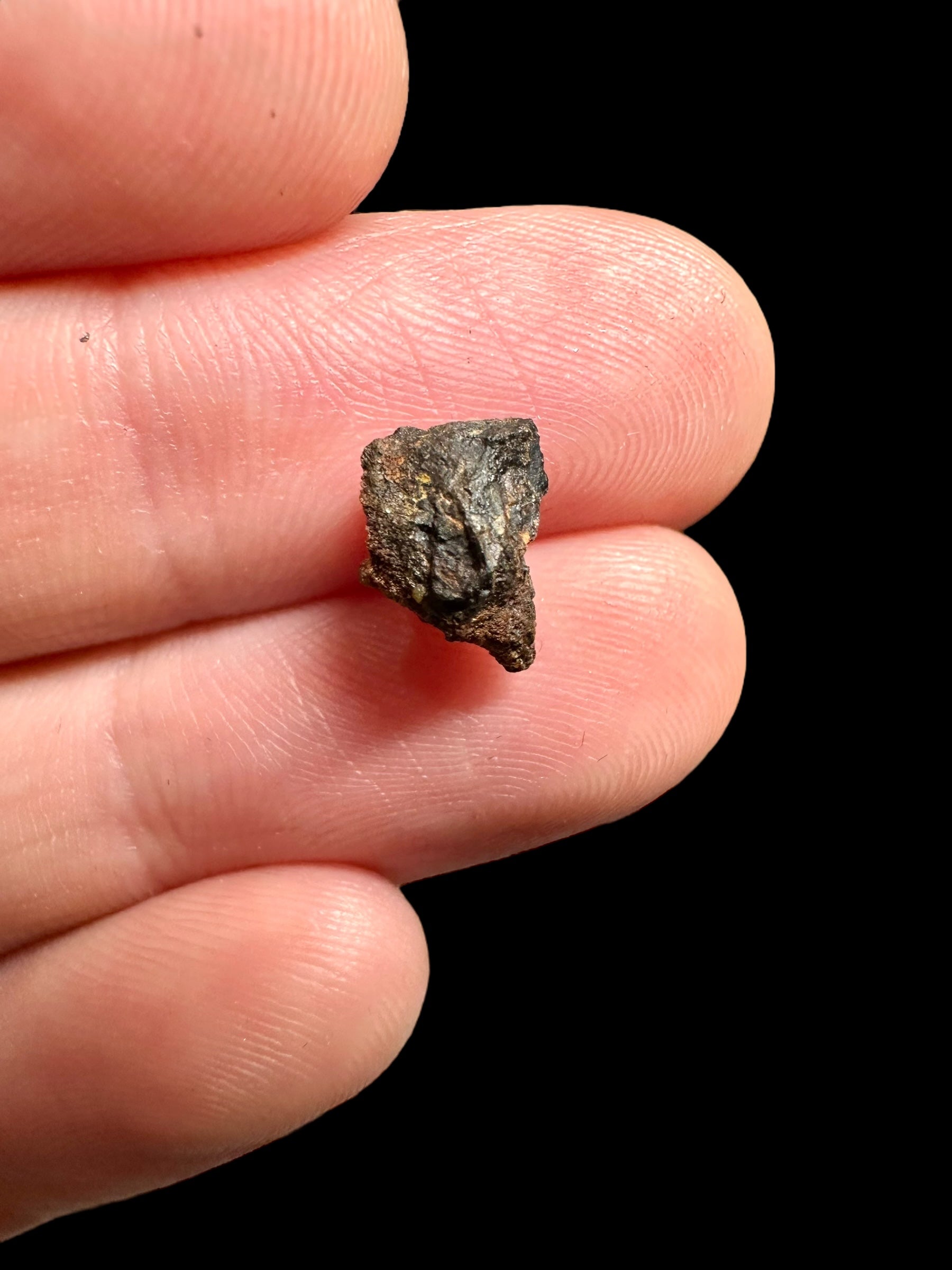 Meteorite Pallasite La'gad 002 – 0,43g – Western Sahara - MELA14