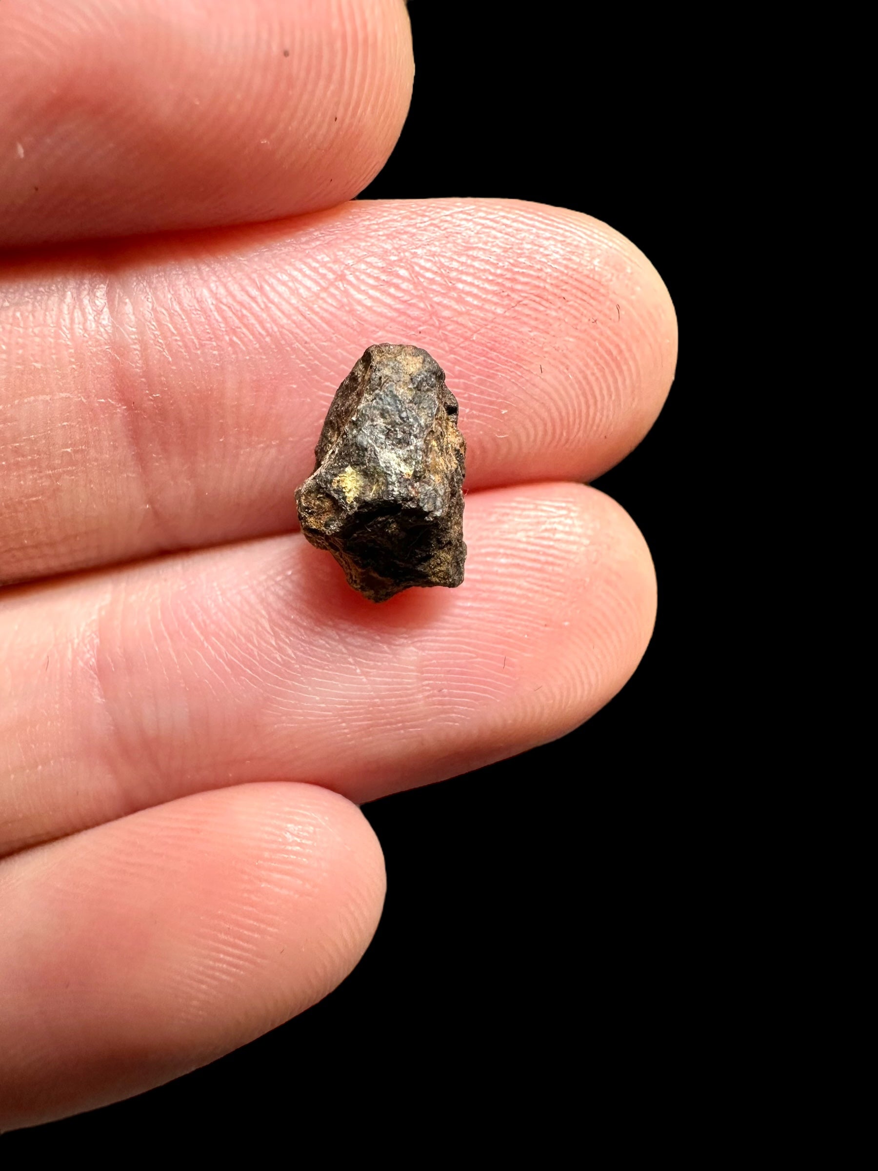 Meteorite Pallasite La'gad 002 – 0,43g – Western Sahara - MELA14