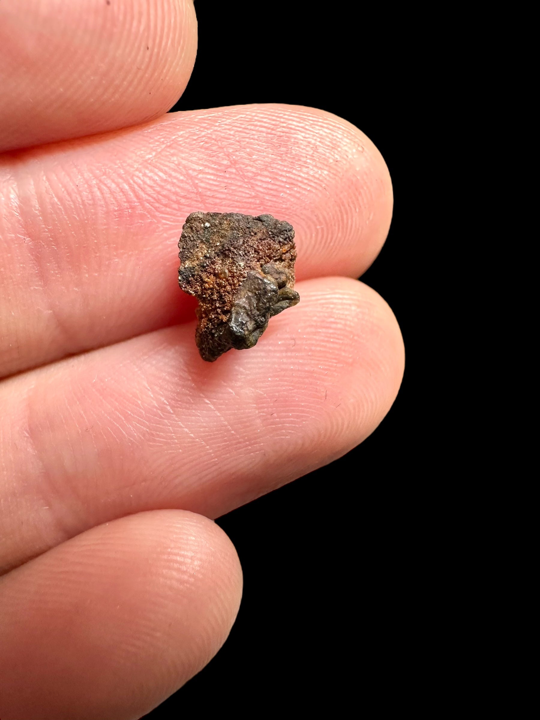 Meteorite Pallasite La'gad 002 – 0,43g – Western Sahara - MELA14