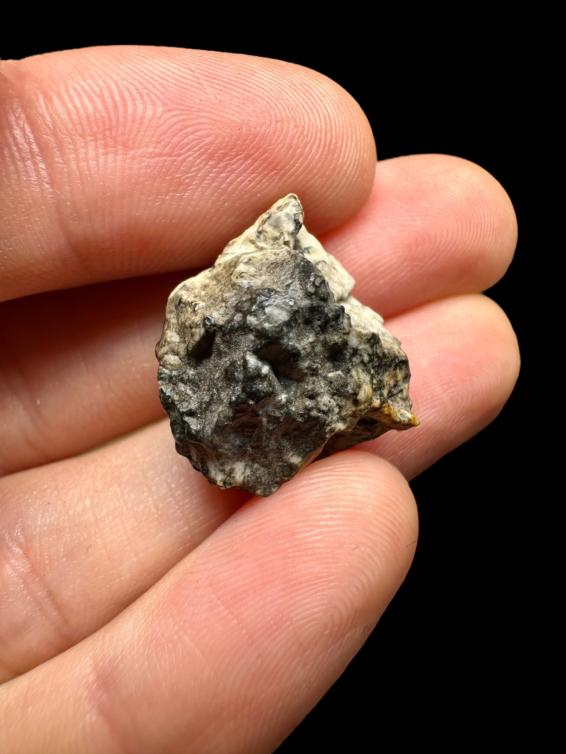 Meteorite Djoua 001 – 4,7g – Algeria - MEDJ04