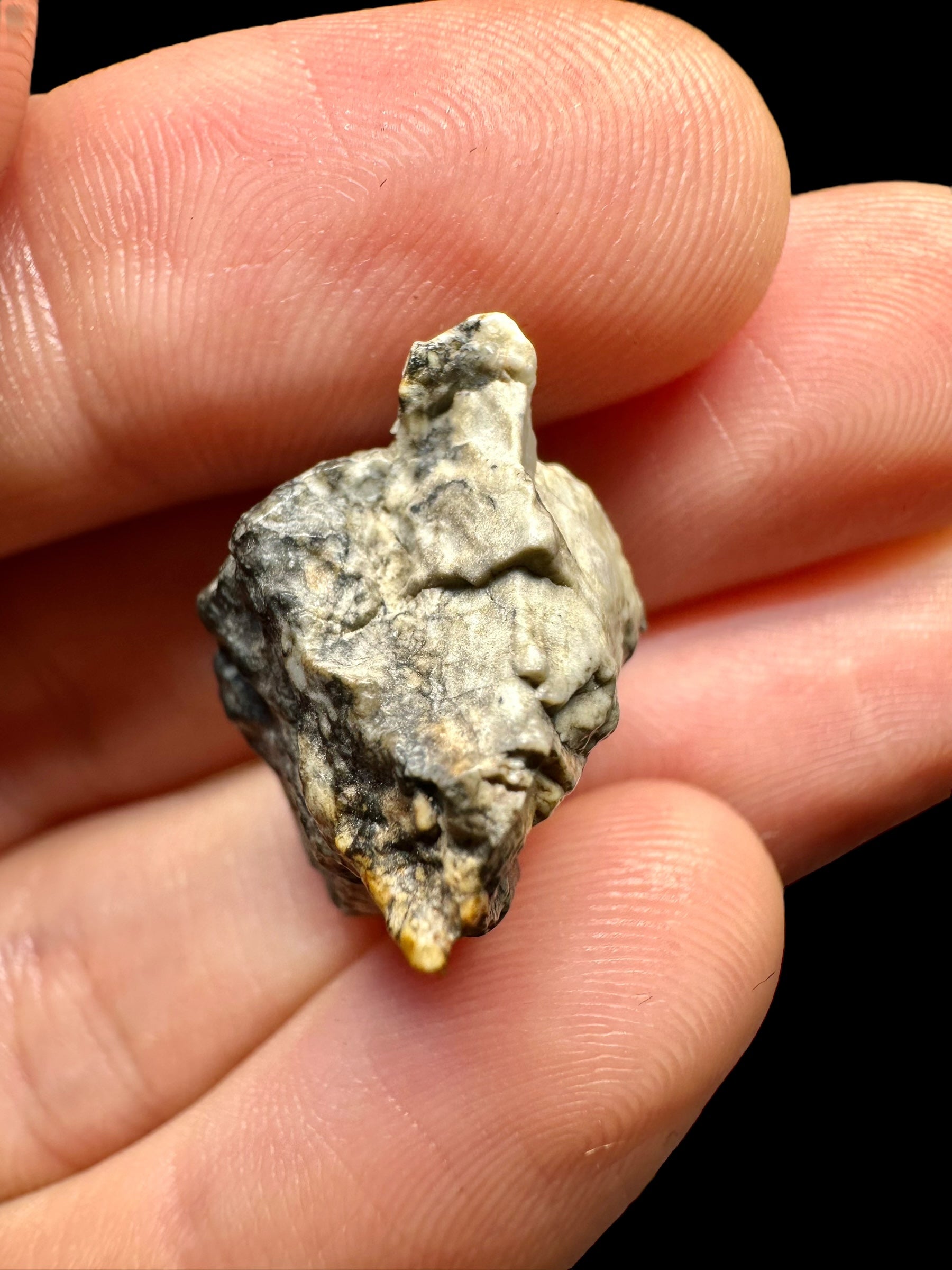 Meteorite Djoua 001 – 4,7g – Algeria - MEDJ04