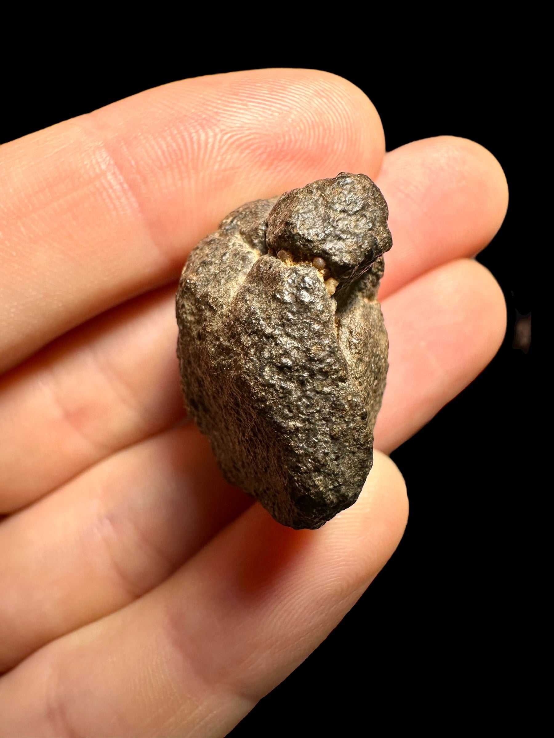 Meteorite Abadla 004 – 15,03g – Algeria - MEAB03