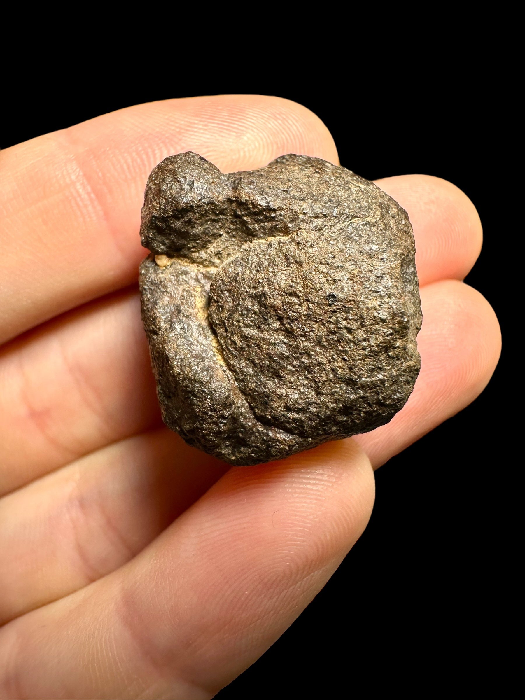 Meteorite Abadla 004 – 15,03g – Algeria - MEAB03