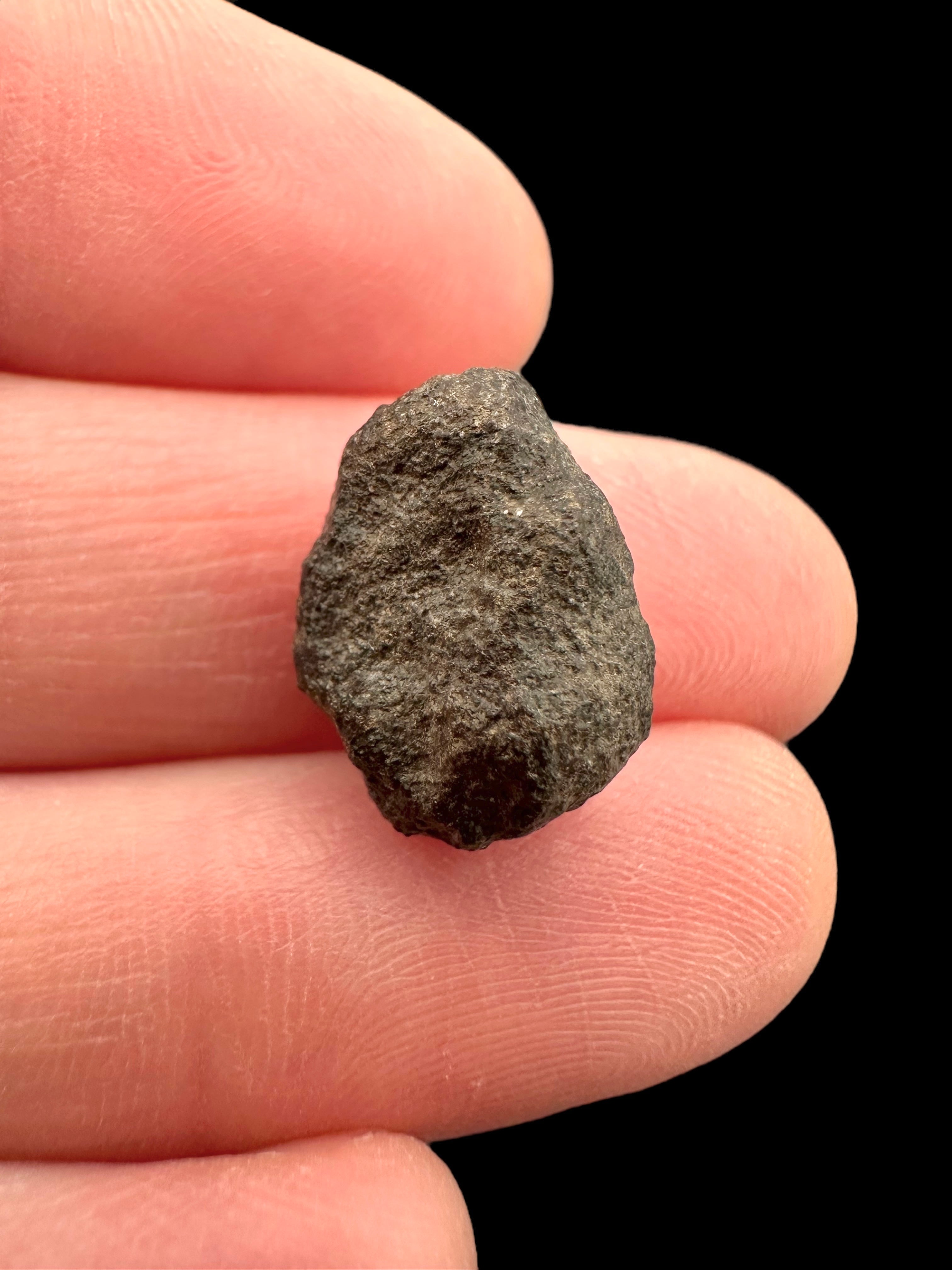 Meteorite Abadla 004 – 1,9g – Algeria - MEAB05